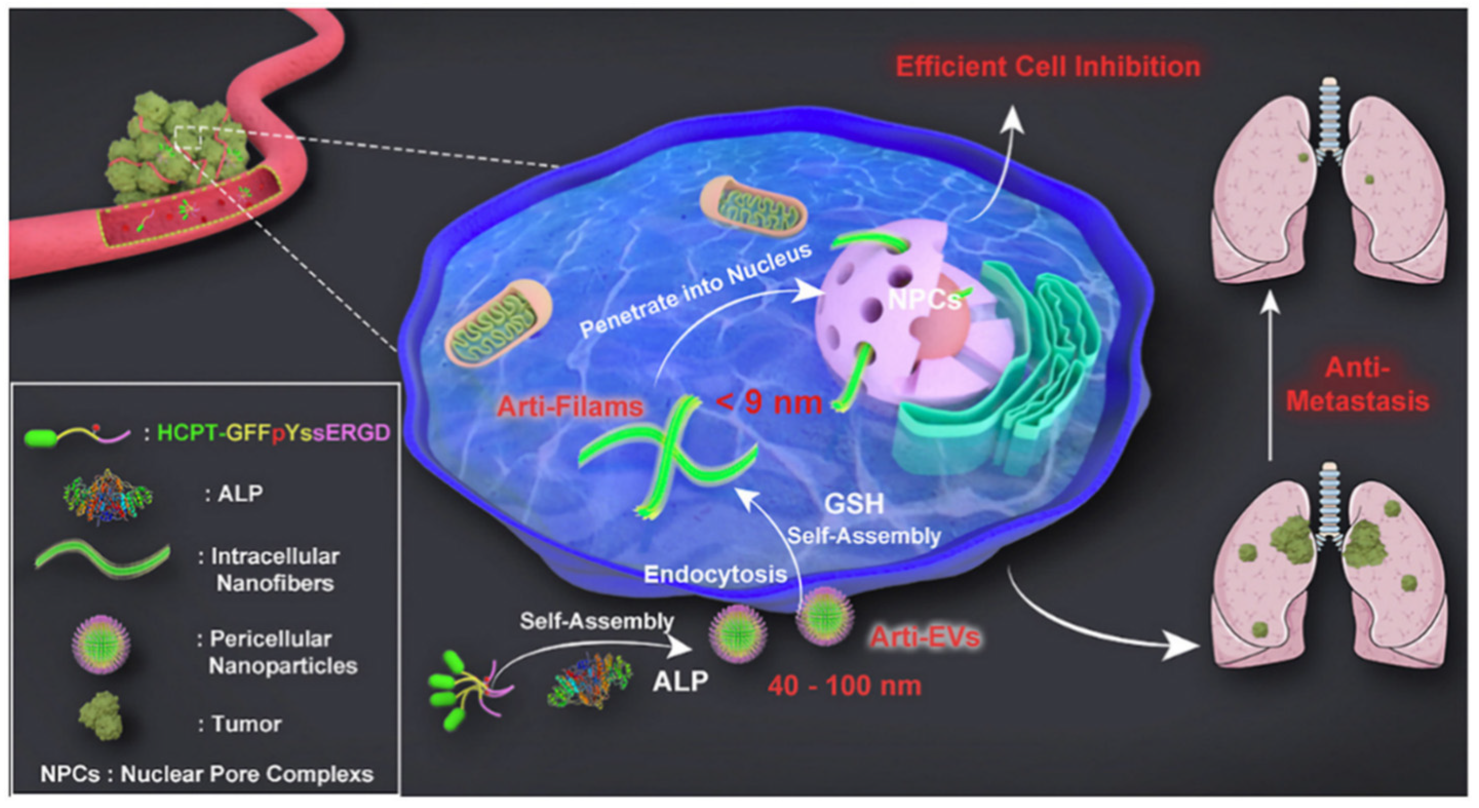 Nuclear-Targeted Drug Delivery Systems for Cancer Therapy: Advances ...