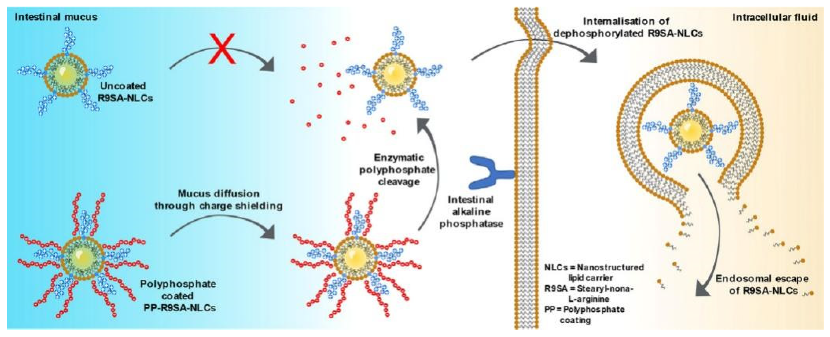 Nuclear-Targeted Drug Delivery Systems for Cancer Therapy: Advances ...