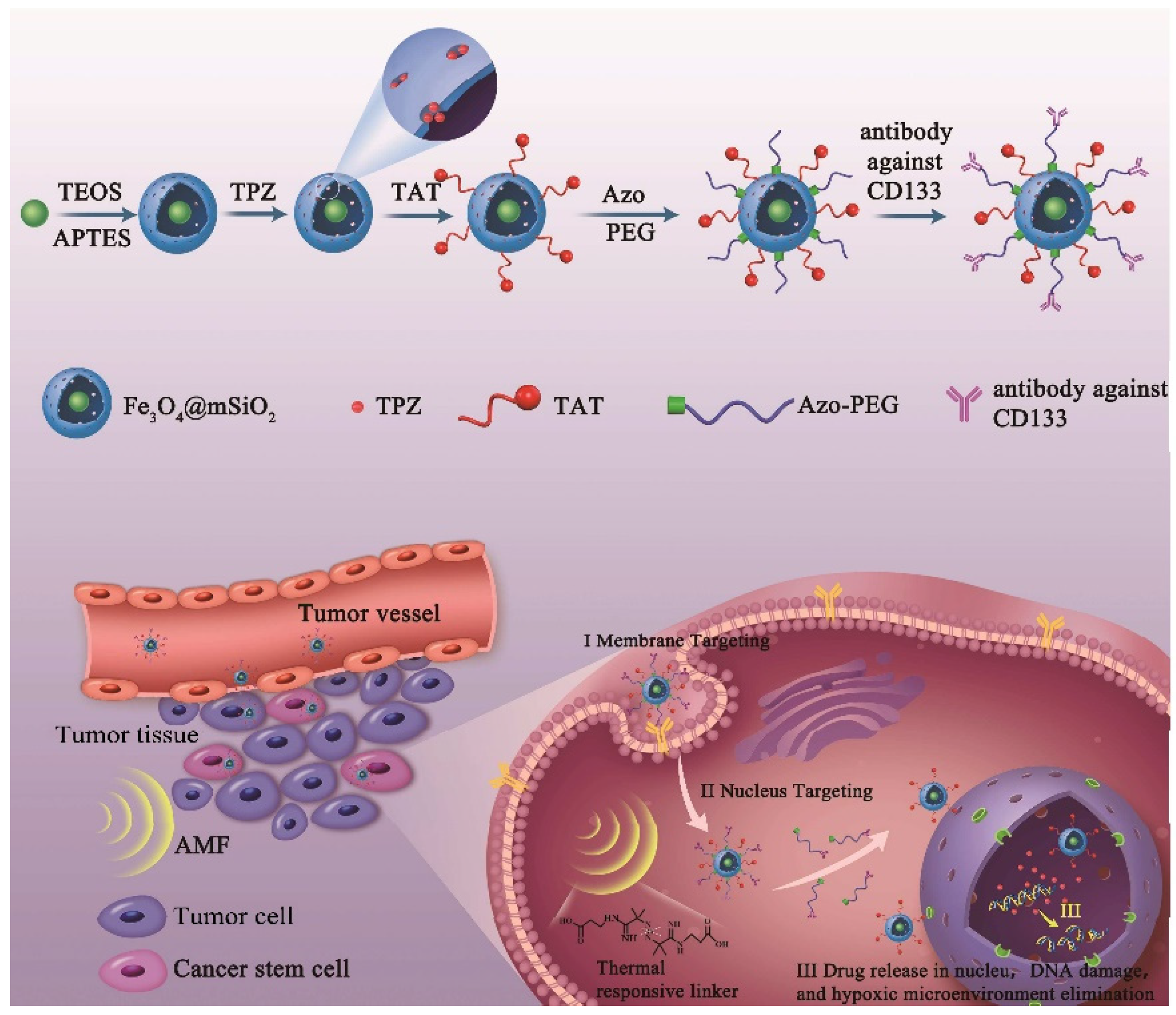 Nuclear-Targeted Drug Delivery Systems for Cancer Therapy: Advances ...