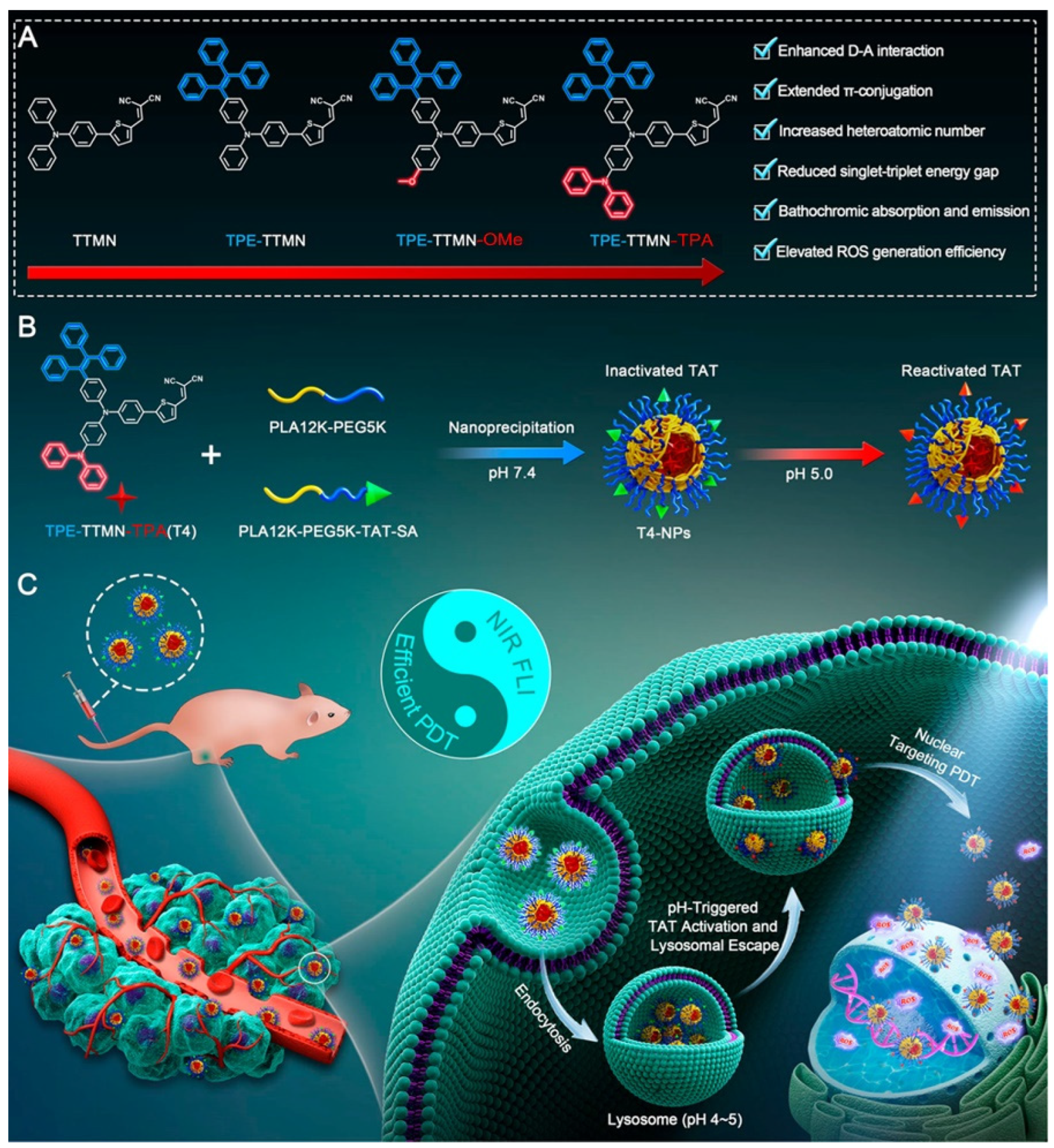 Nuclear-Targeted Drug Delivery Systems for Cancer Therapy: Advances ...