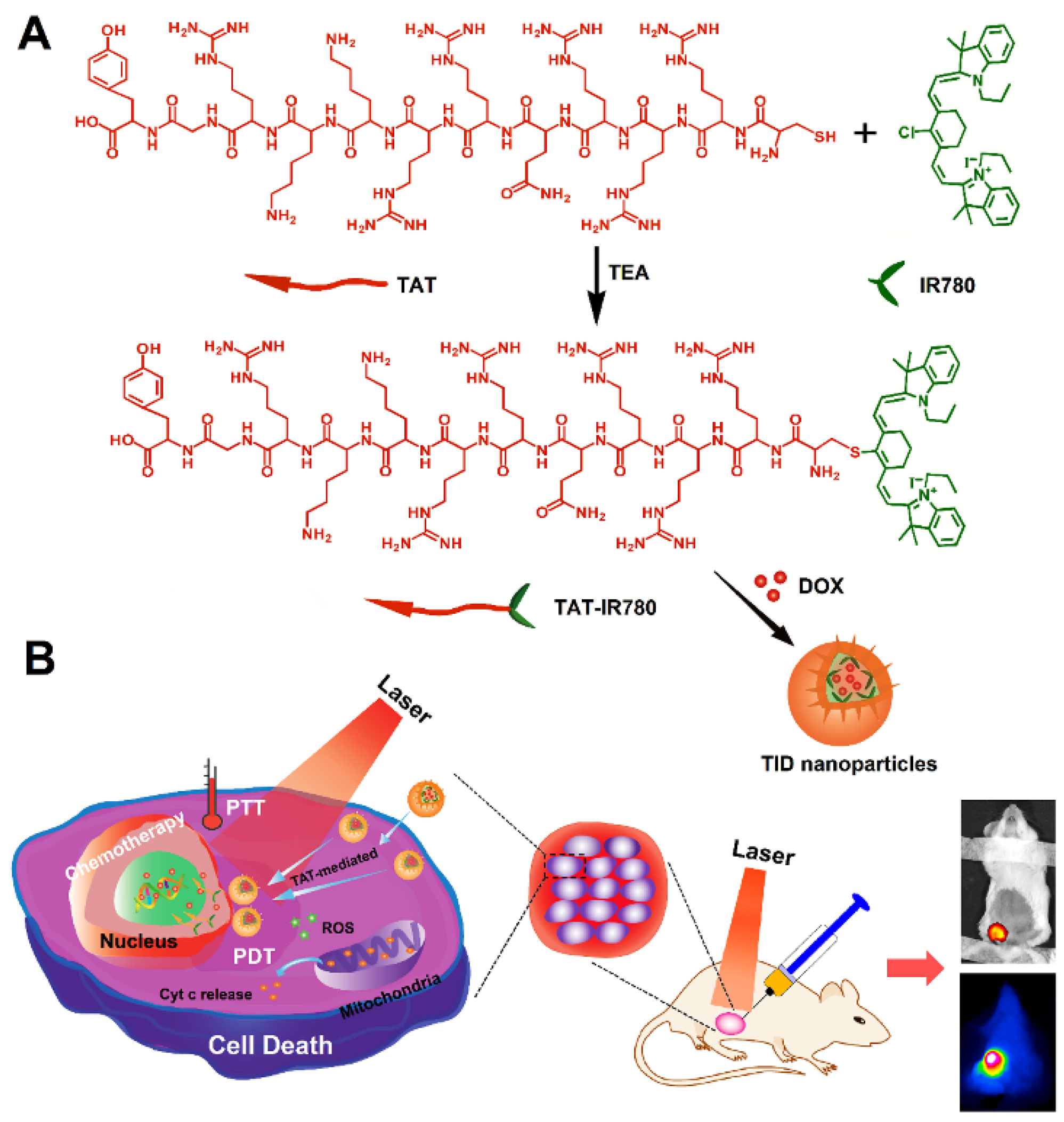 Nuclear-Targeted Drug Delivery Systems for Cancer Therapy: Advances ...