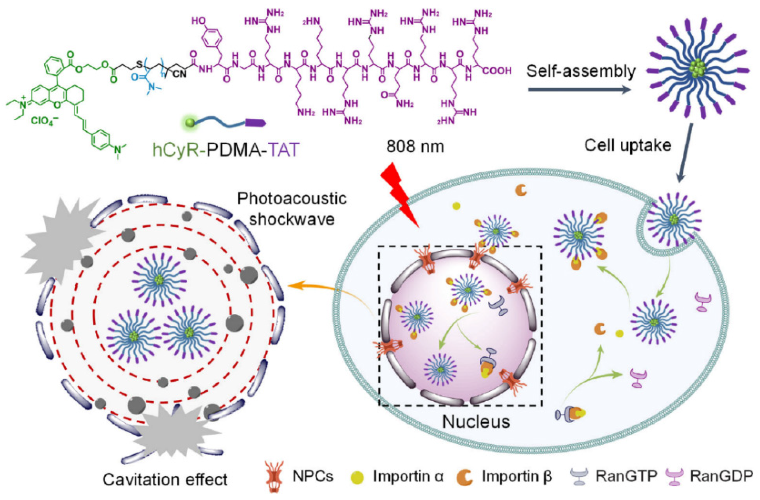 Nuclear-Targeted Drug Delivery Systems for Cancer Therapy: Advances ...