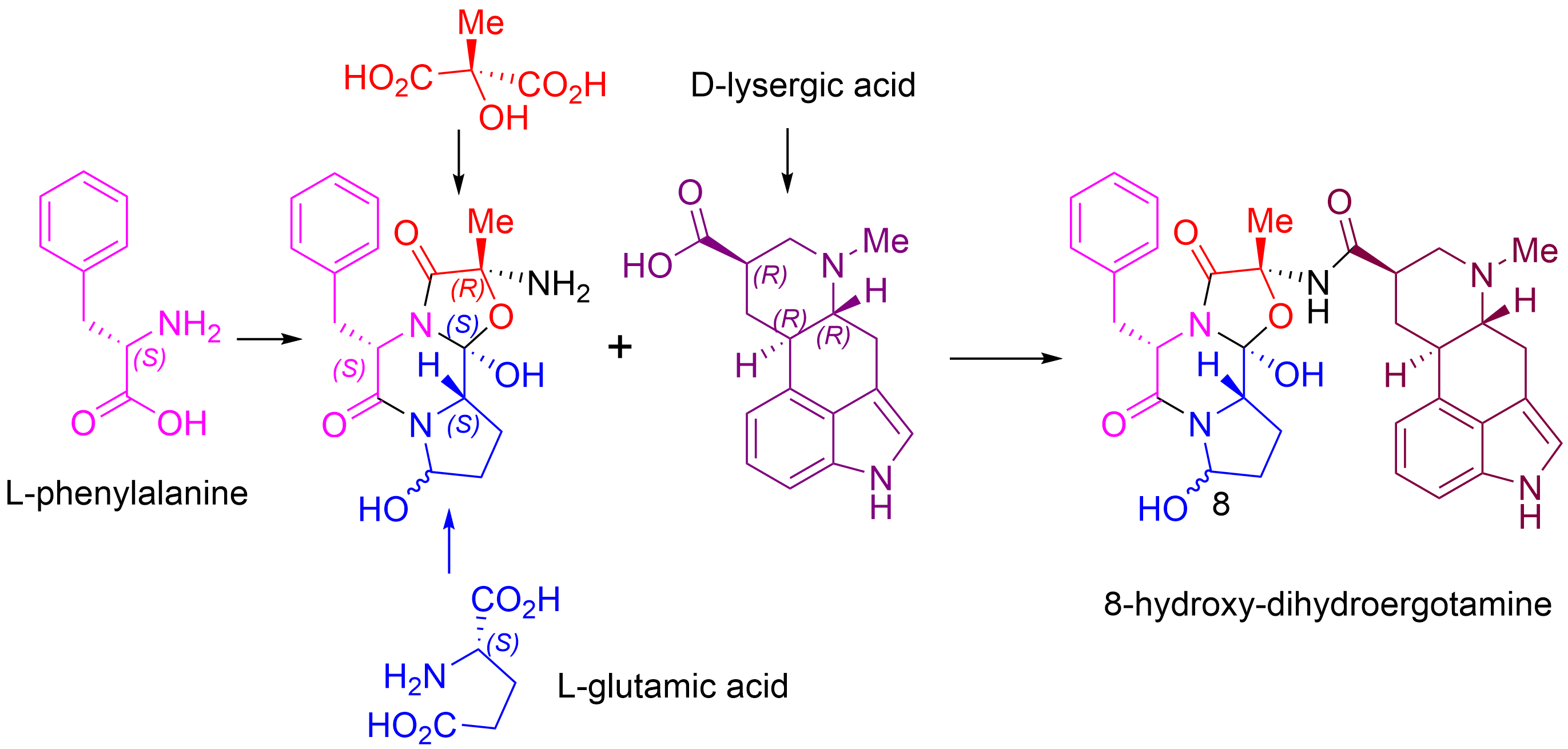 Total Synthesis of 8-Hydroxy-dihydroergotamine, the Major Human Metabolite of Dihydroergotamine