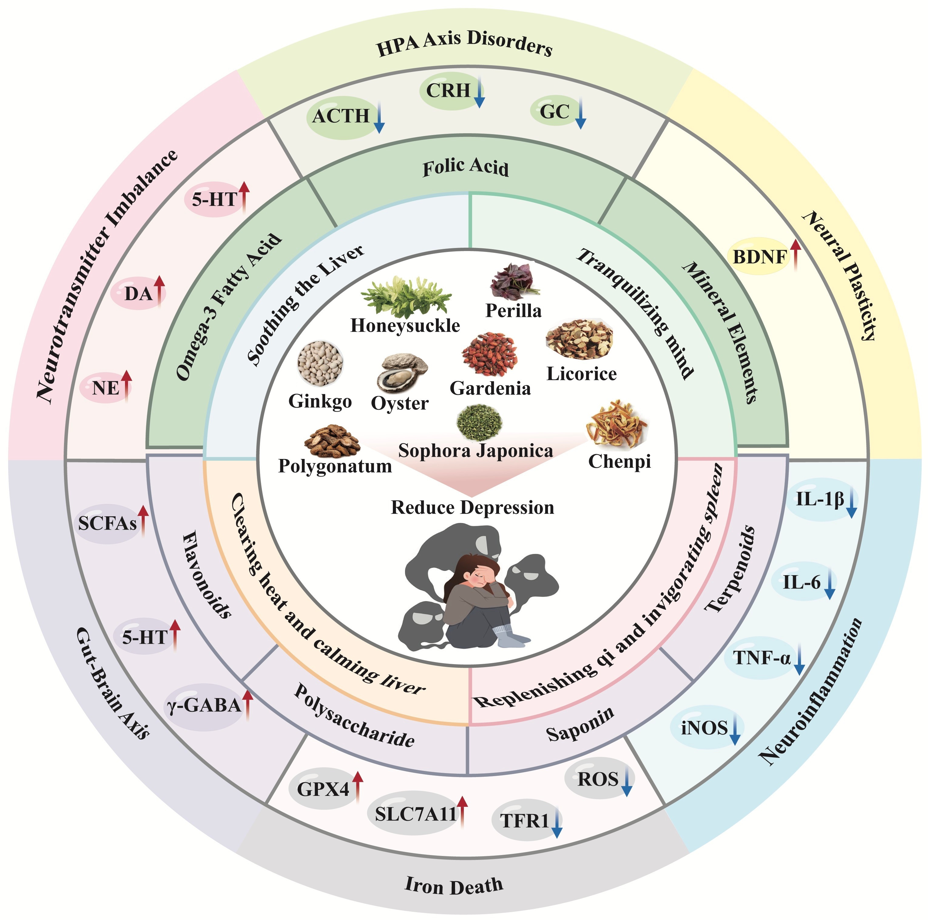 Molecules | Special Issue : Bioactive Food Compounds and Their Health ...