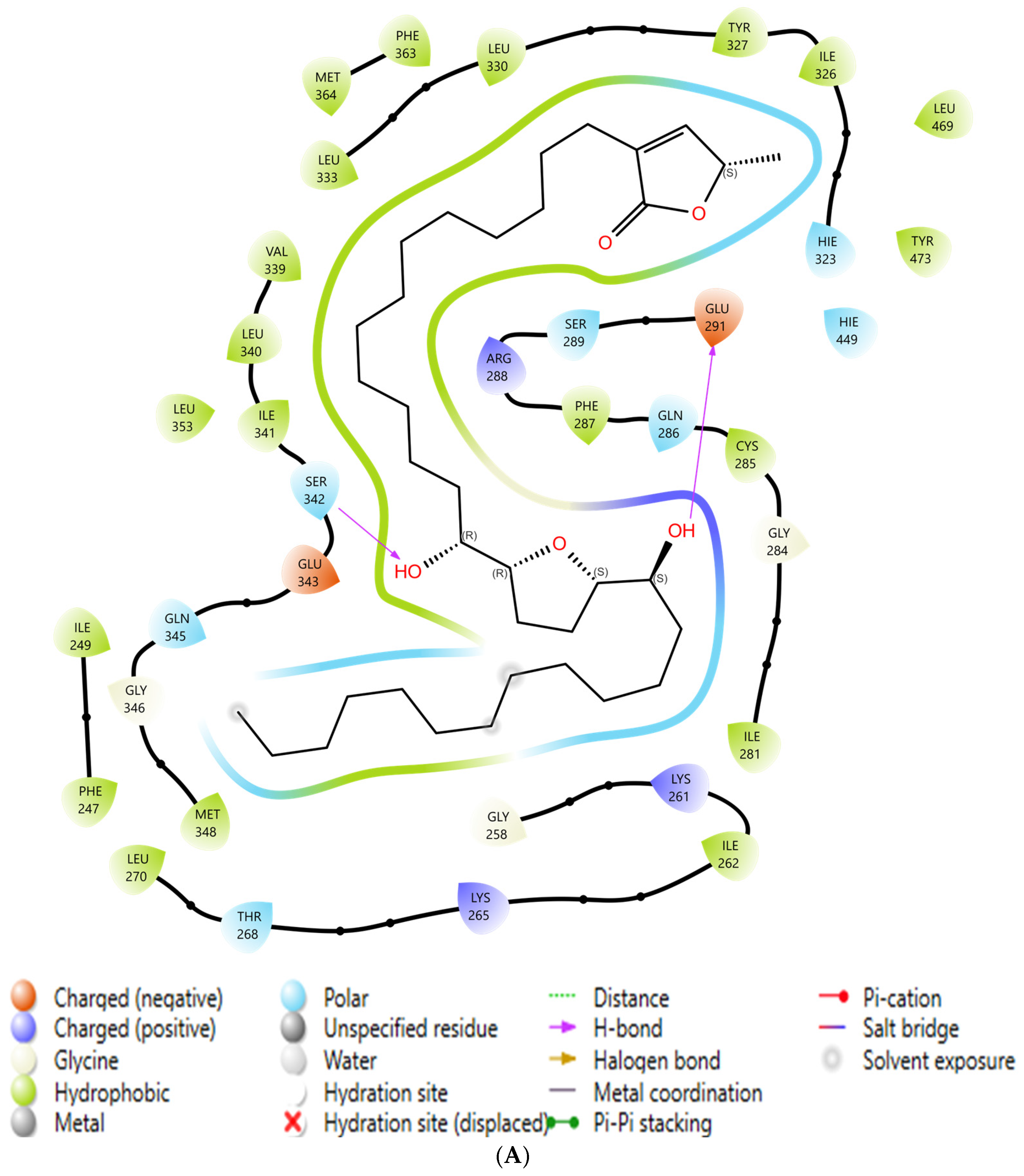 Integrated In Silico Prioritization of Antidiabetic Phytochemicals from ...