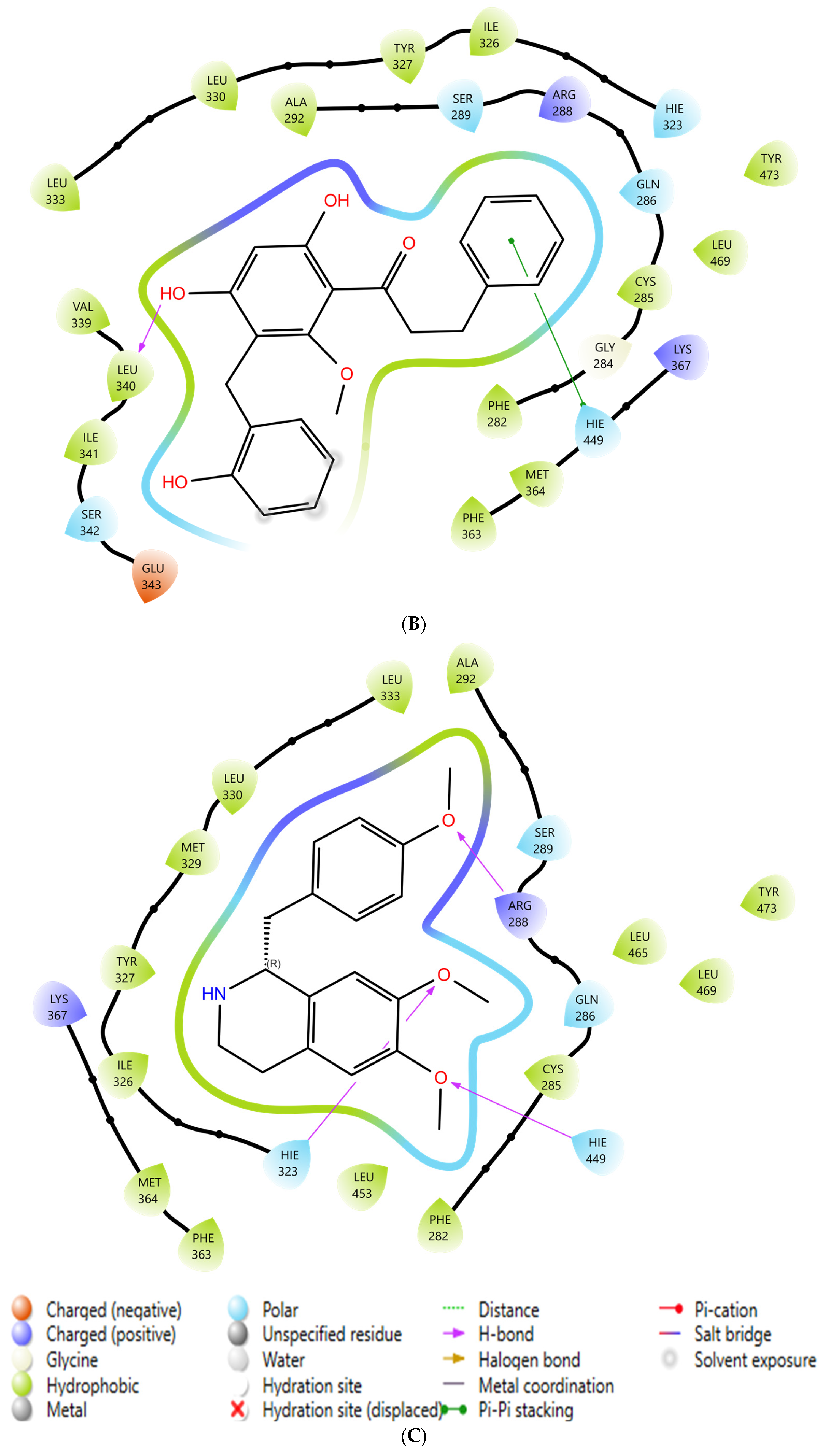 Integrated In Silico Prioritization of Antidiabetic Phytochemicals from ...