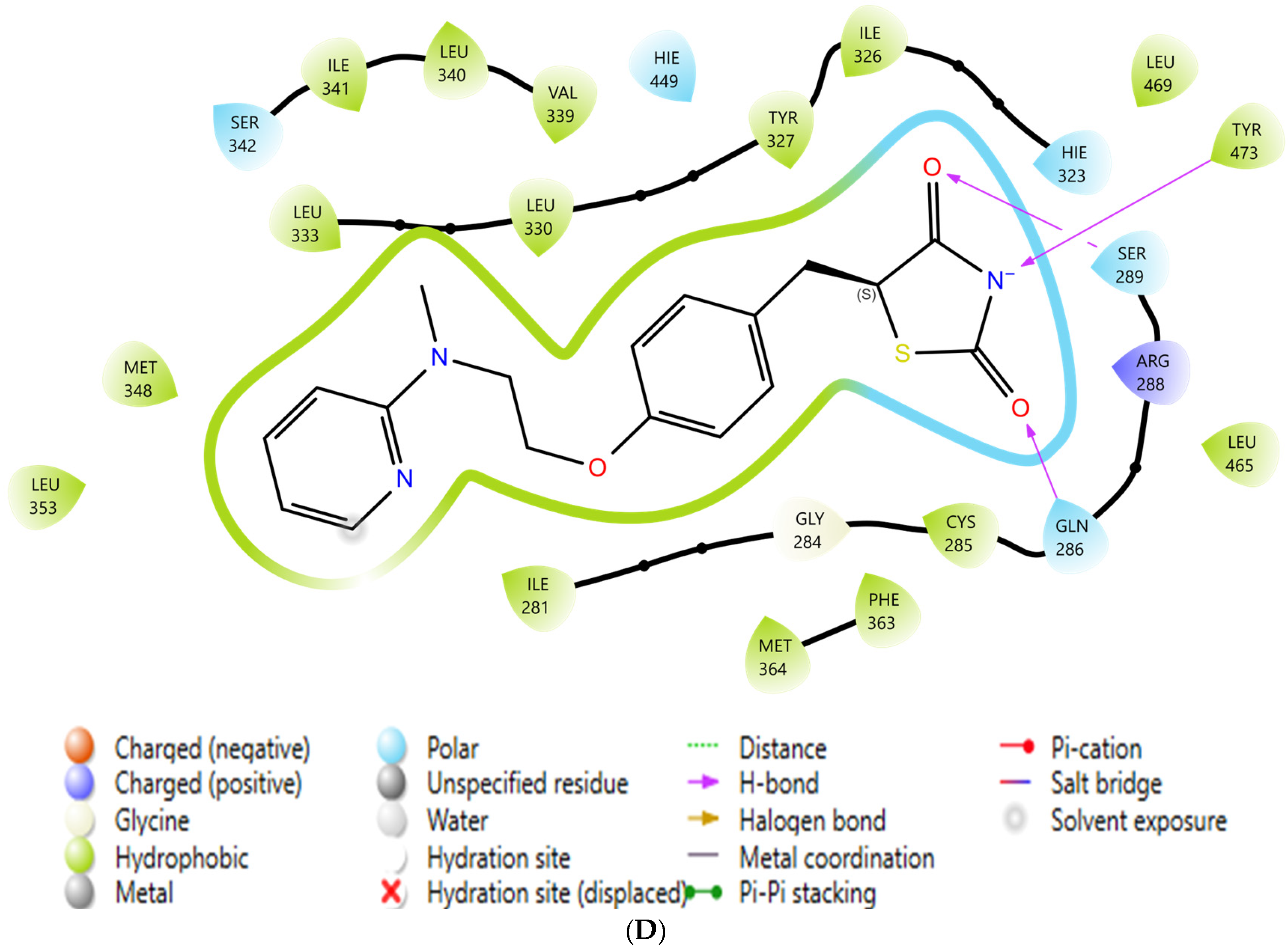 Integrated In Silico Prioritization of Antidiabetic Phytochemicals from ...