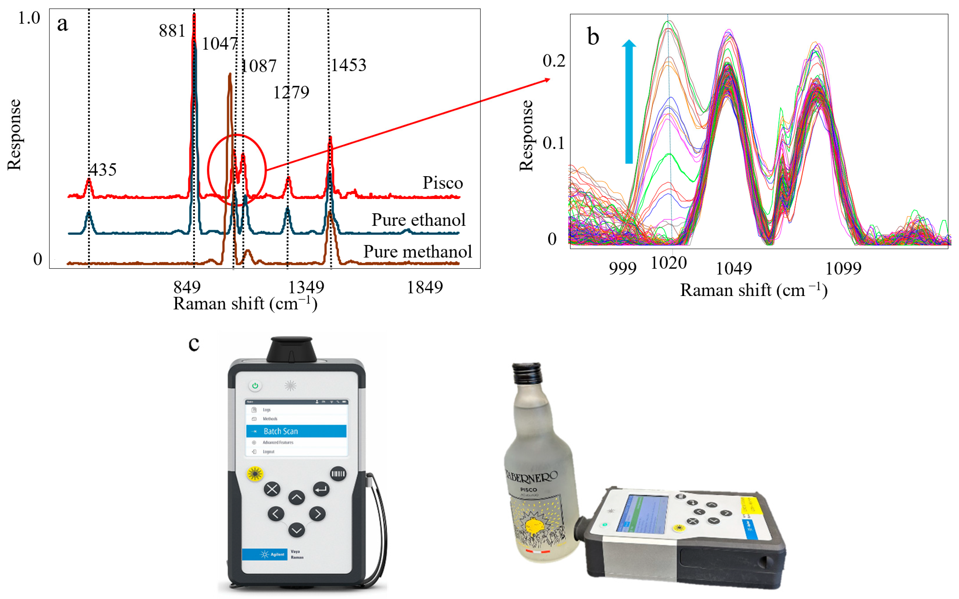 Portable Spatially Offset Raman Spectroscopy for Rapid Detection of ...
