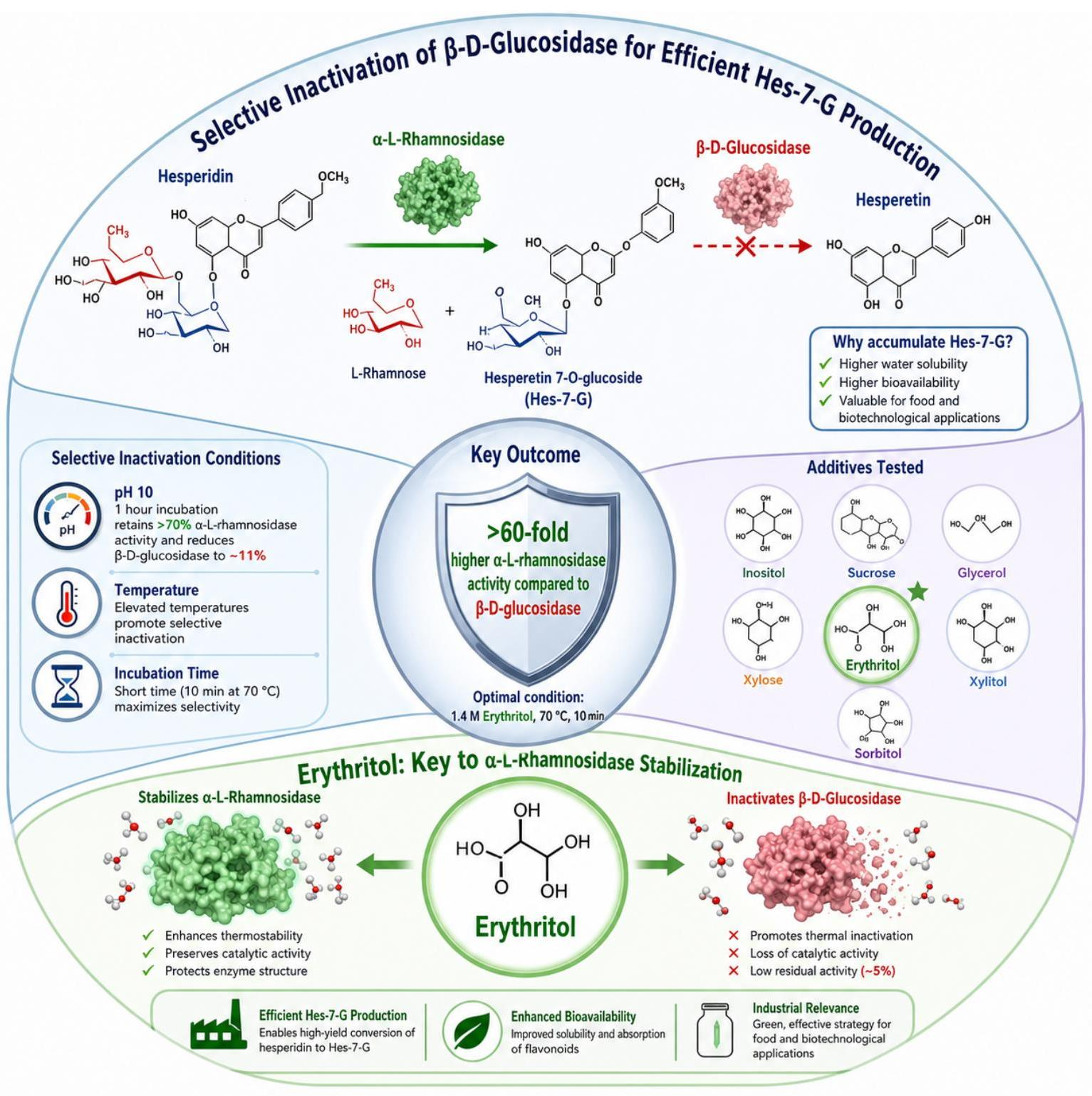 Methods for the Thermal Stabilization of α-L-Rhamnosidase and ...