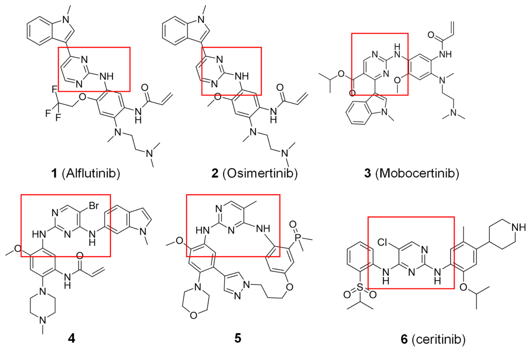 Novel 2,4-Pyrimidinediamine Derivative as Potent EGFR Inhibitor for ...