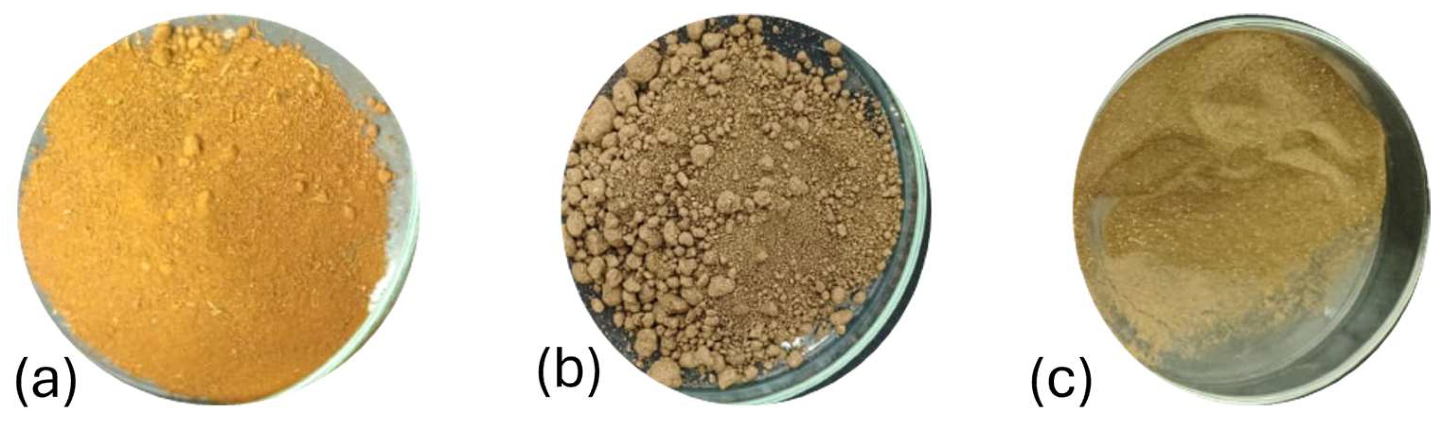 Optimized Method for Efficient DNA Extraction from Agricultural Soils