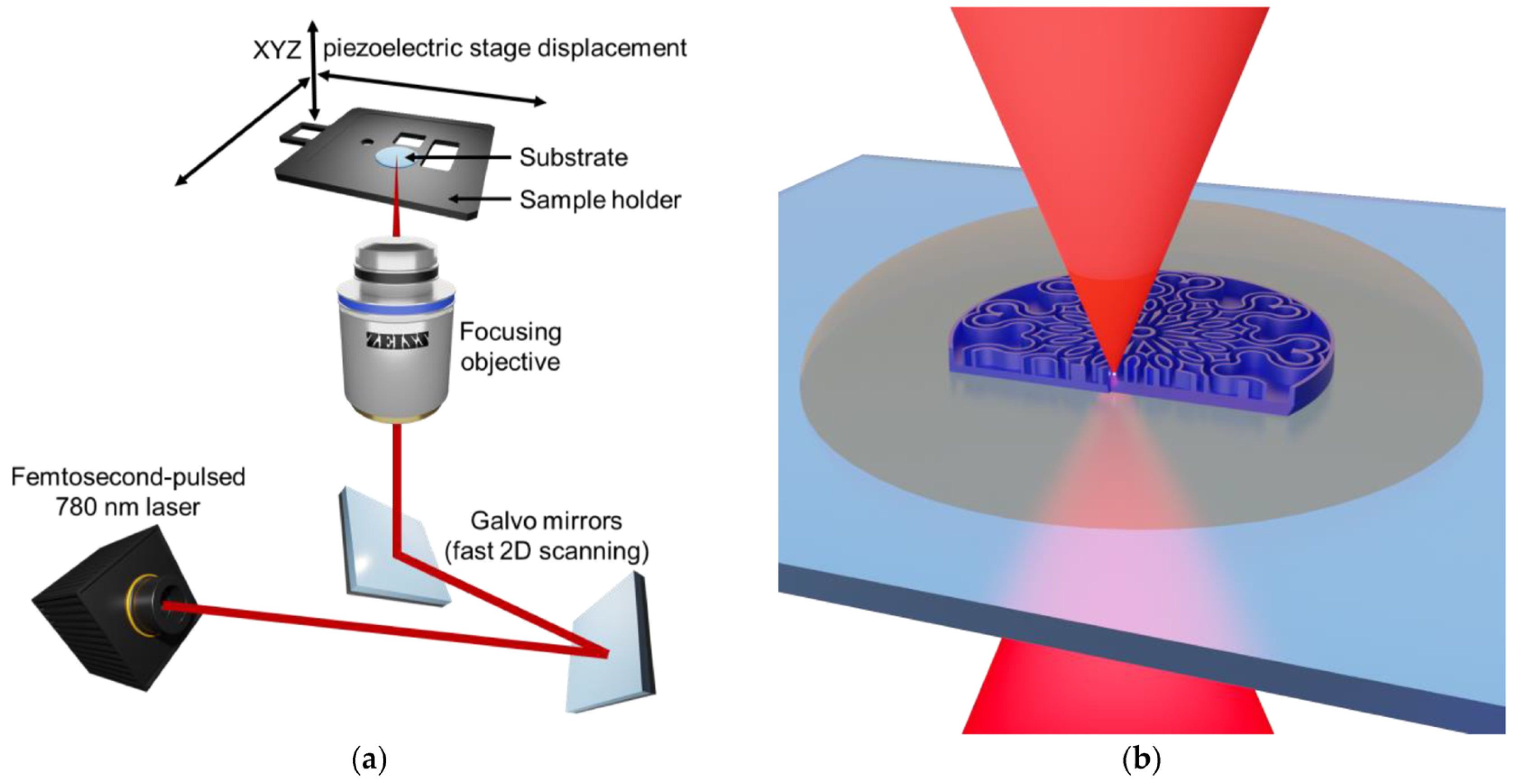 Advancements in Two-Photon Polymerization (2PP) for Micro and Nanoscale ...