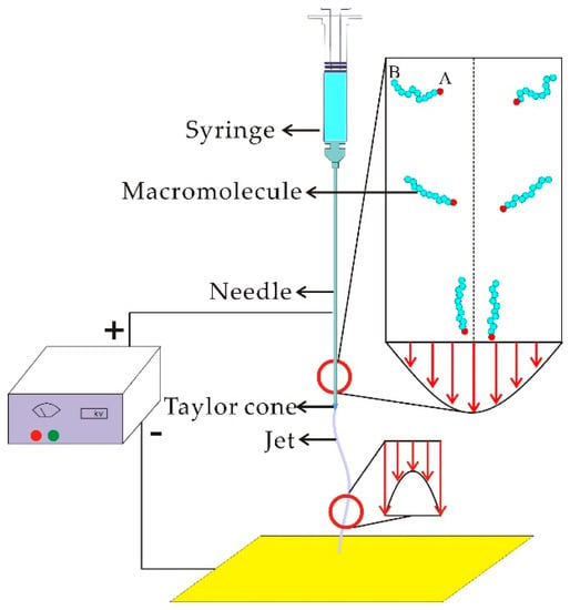 Nanomaterials | Free Full-Text | Macromolecule Orientation in Nanofibers