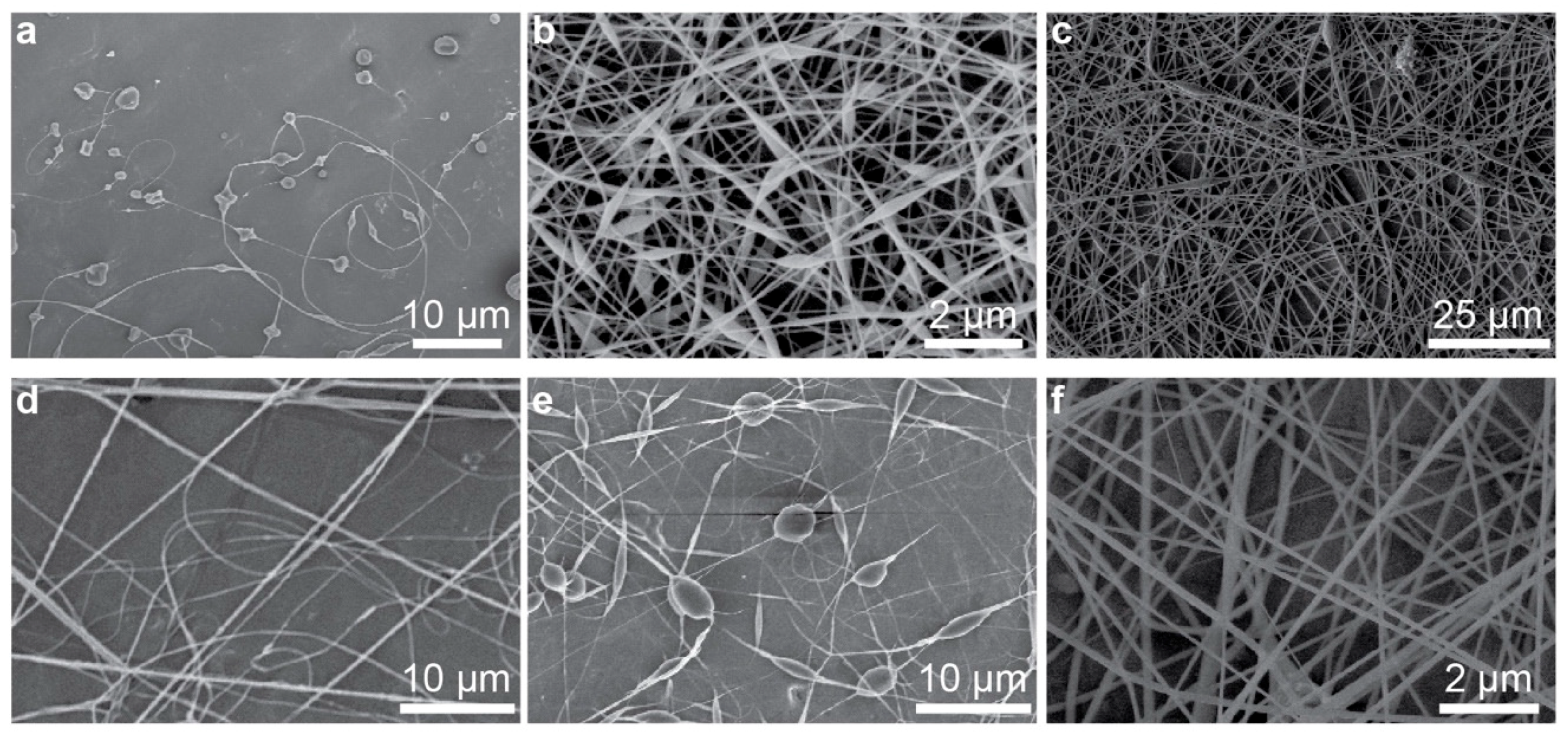 Nanomaterials | Free Full-Text | A Portable Electrospinner for Nanofiber  Synthesis and Its Application for Cosmetic Treatment of Alopecia