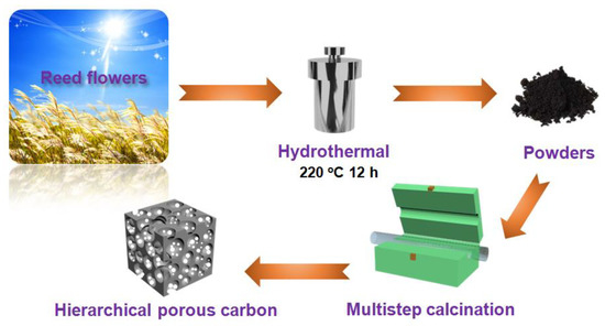 Hierarchically Porous Carbon Derived from Biomass Reed Flowers as ...