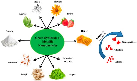 Nanomaterials | Free Full-Text | Flower-Based Green Synthesis Of ...