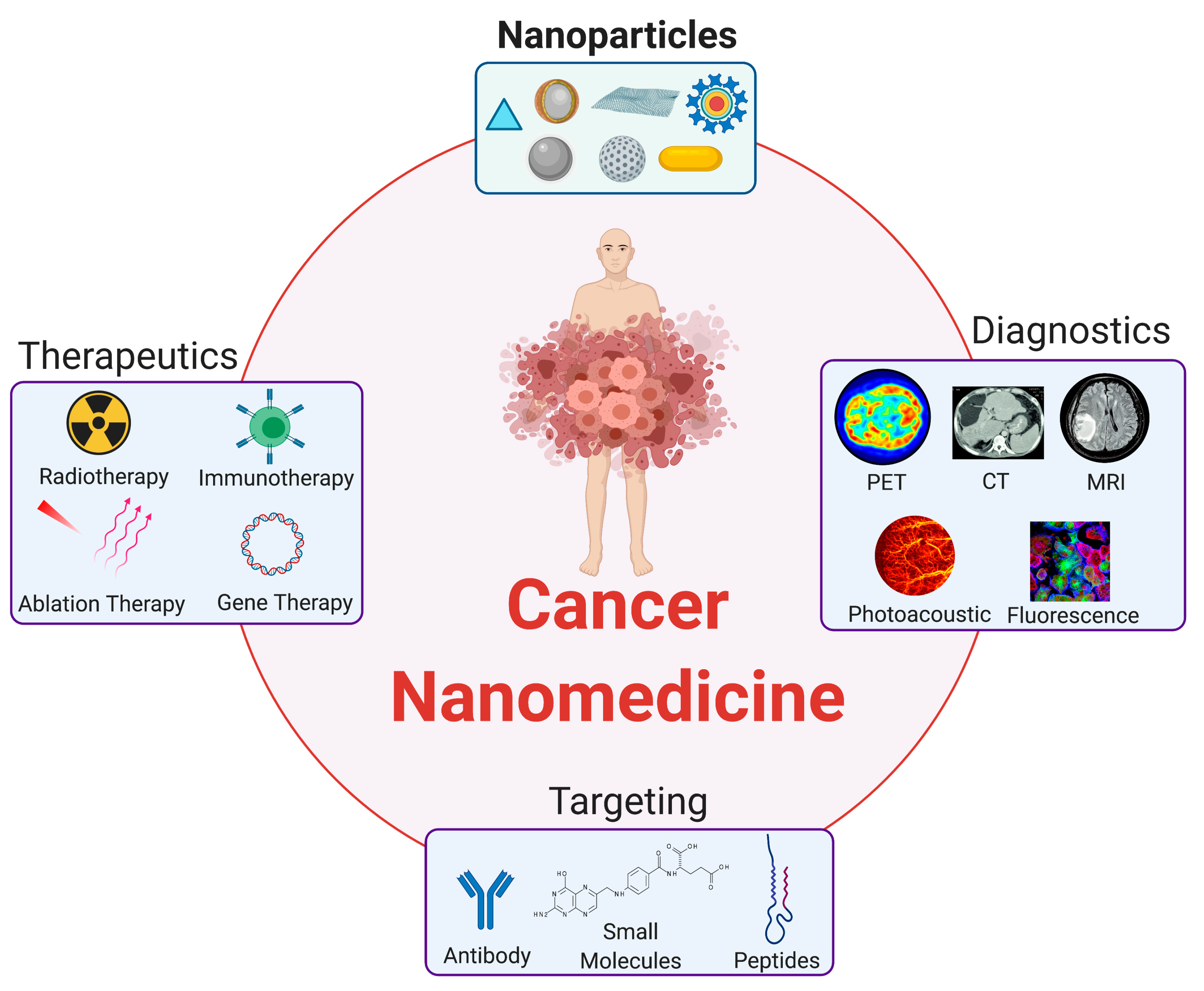 Survey of Clinical Translation of Cancer Nanomedicines—Lessons