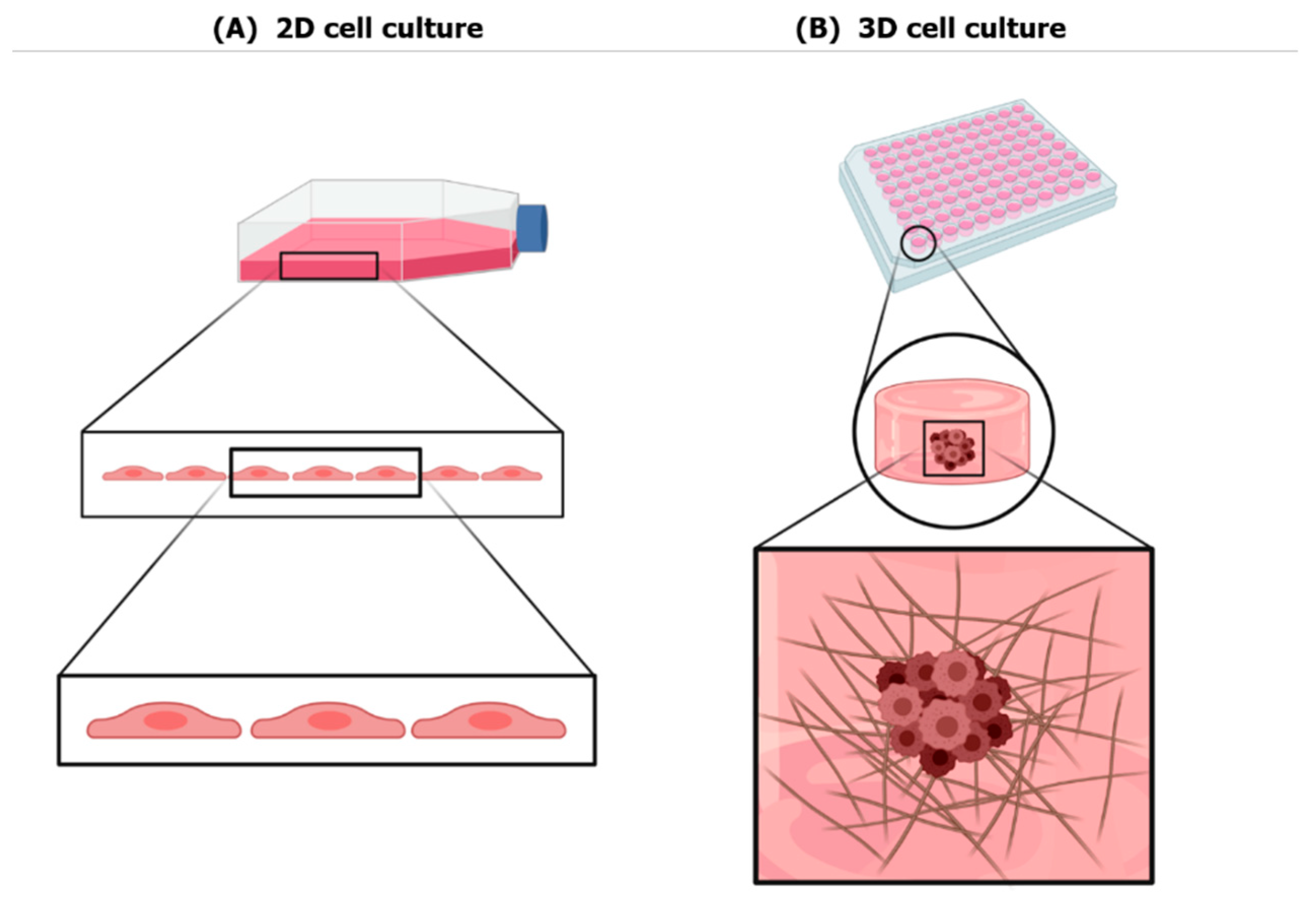 Nanomaterials | Free Full-Text | Biomaterials for Three-Dimensional Cell  Culture: From Applications in Oncology to Nanotechnology