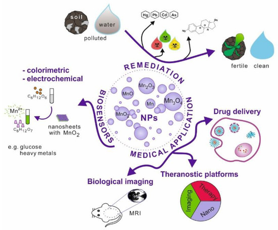 nanomaterials-free-full-text-applications-and-biological-activity