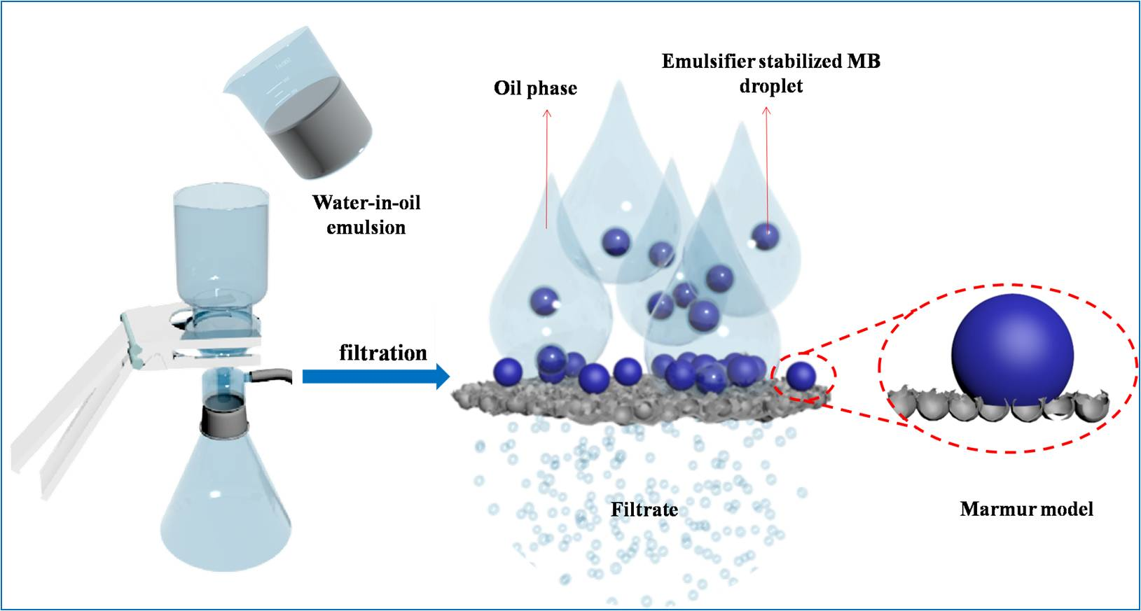 Oil In Water Water In Oil Two Emulsion Types Stable Heterogeneous