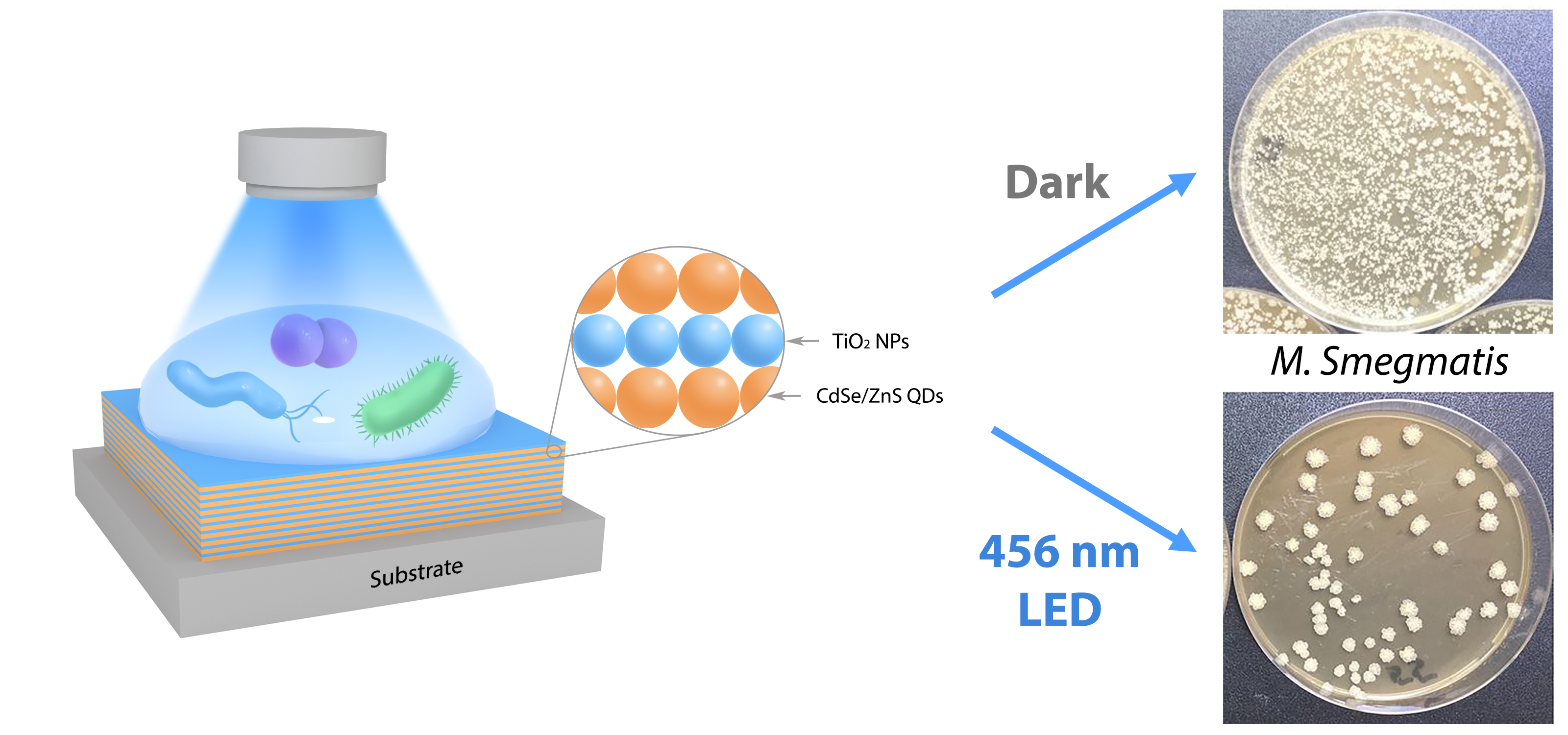 Full article: Fluorescence enhancement of quantum dots from the titanium  dioxide/liquid crystals/polymer composite films