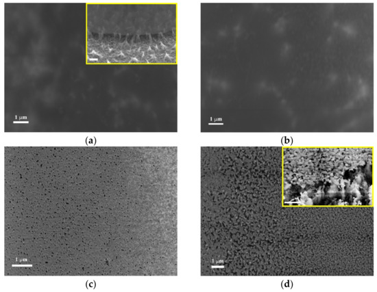 Nanomaterials | Free Full-Text | Large-Sized Nanocrystalline Ultrathin ...