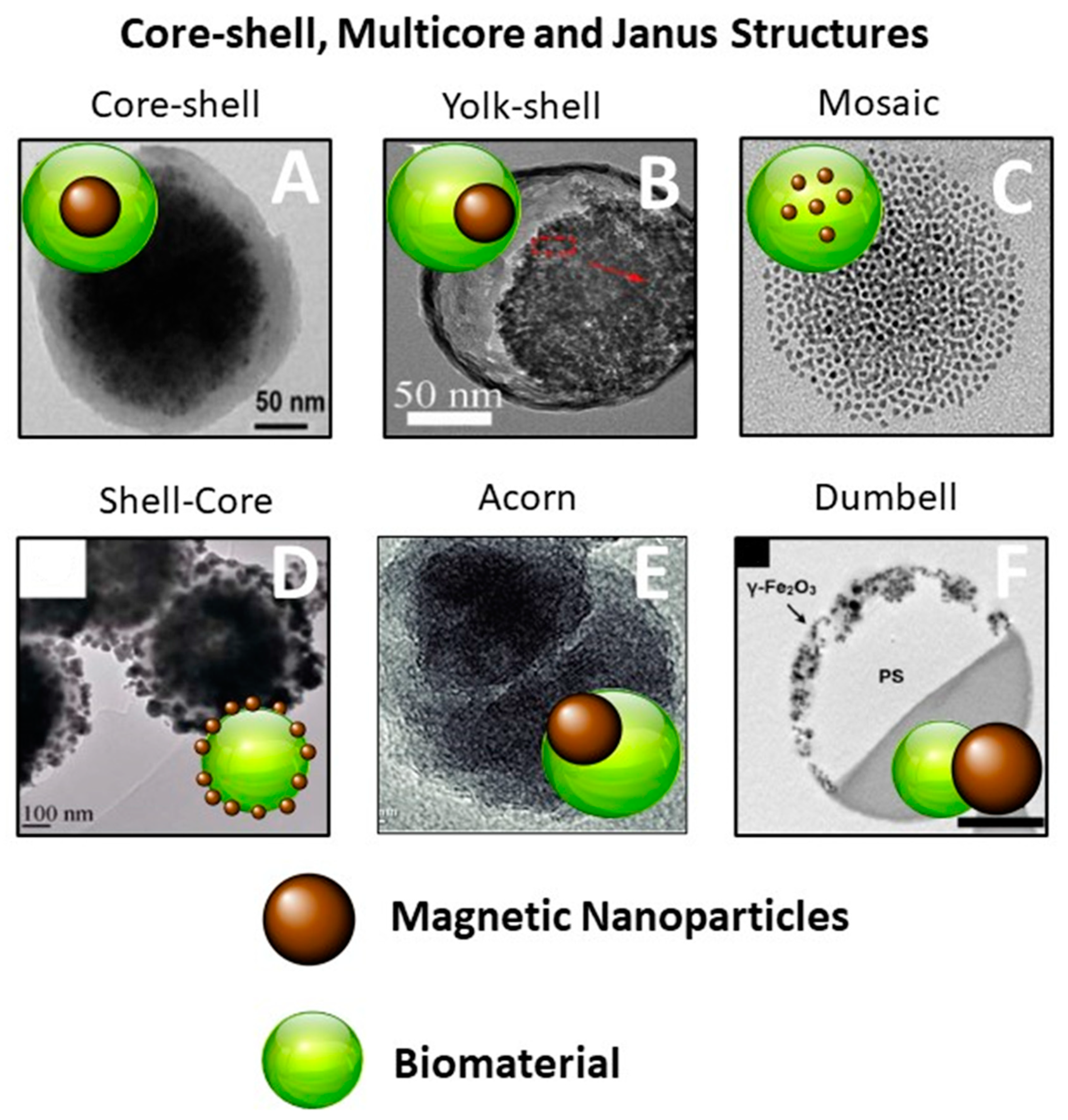 Nanomaterials | Free Full-Text | Polydopamine-Coated Magnetic Iron 