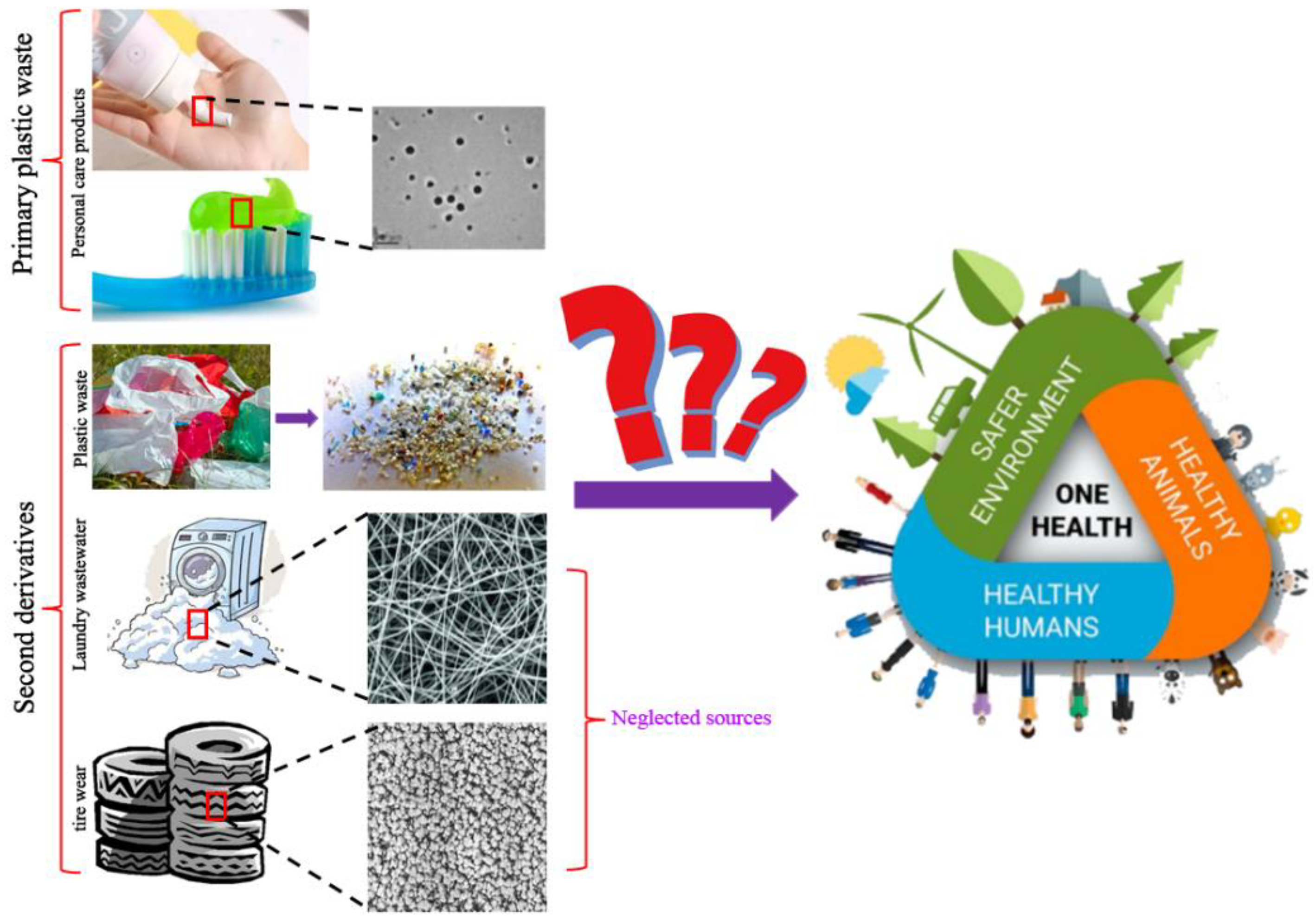Nanomaterials | Free Full-Text | Nanoplastics and Human Health