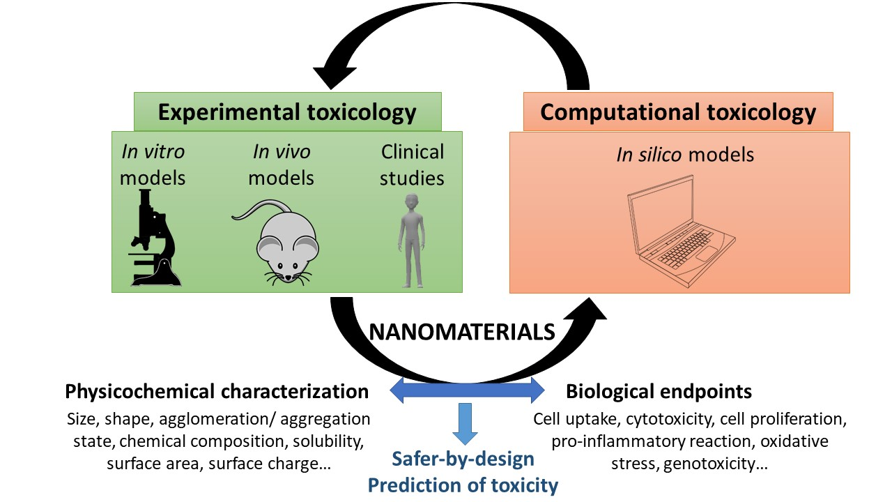 phd dissertation on nanomaterials