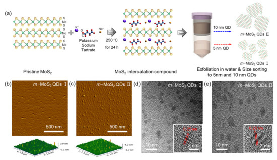 Metallic Phase Transition Metal Dichalcogenide Quantum Dots as ...