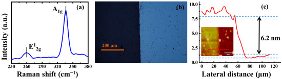 Pts2 Raman Investigations of 2D PtS2’s Saturable Absorption Characteristic and Its ...