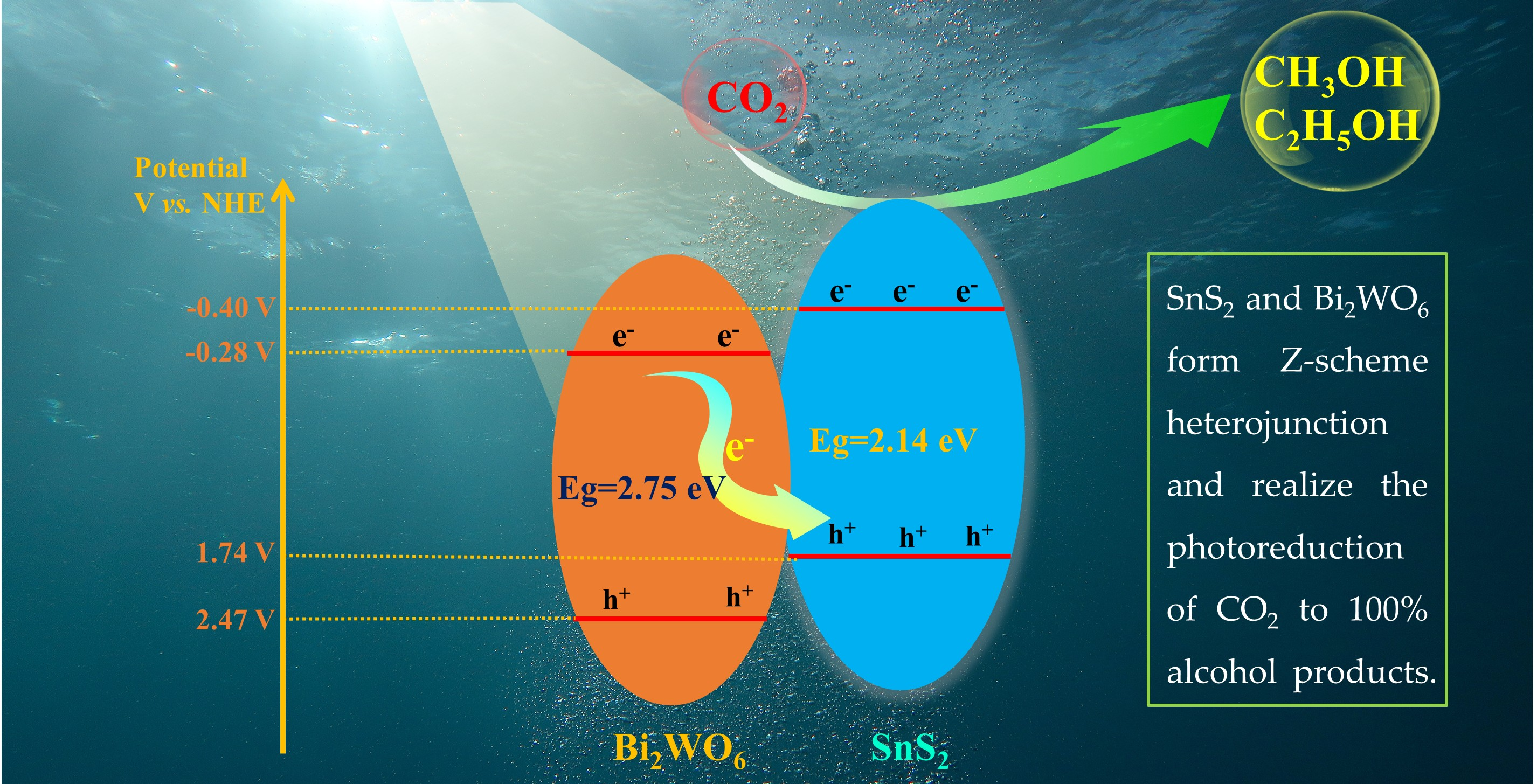 Partially Oxidized SnS2 Atomic Layers Achieving Efficient Visible