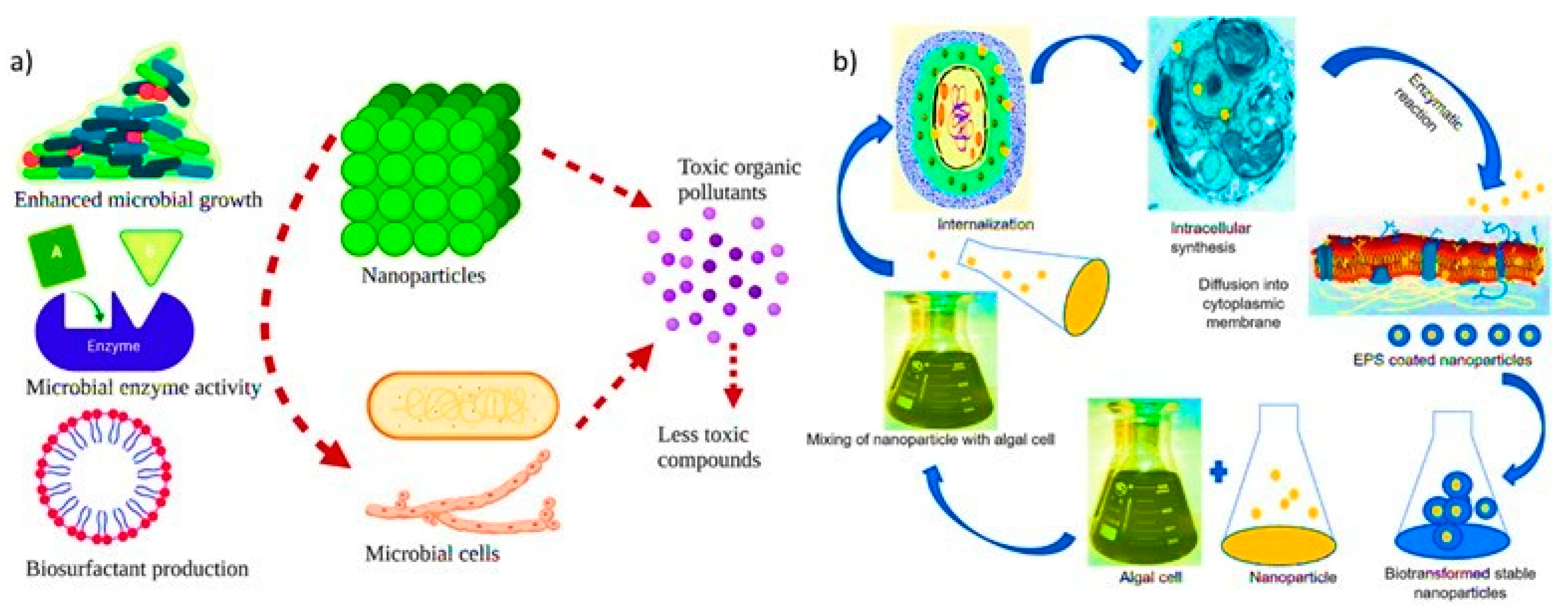 Nanomaterials | Free Full-Text | Exploring Microbial-Based Green 