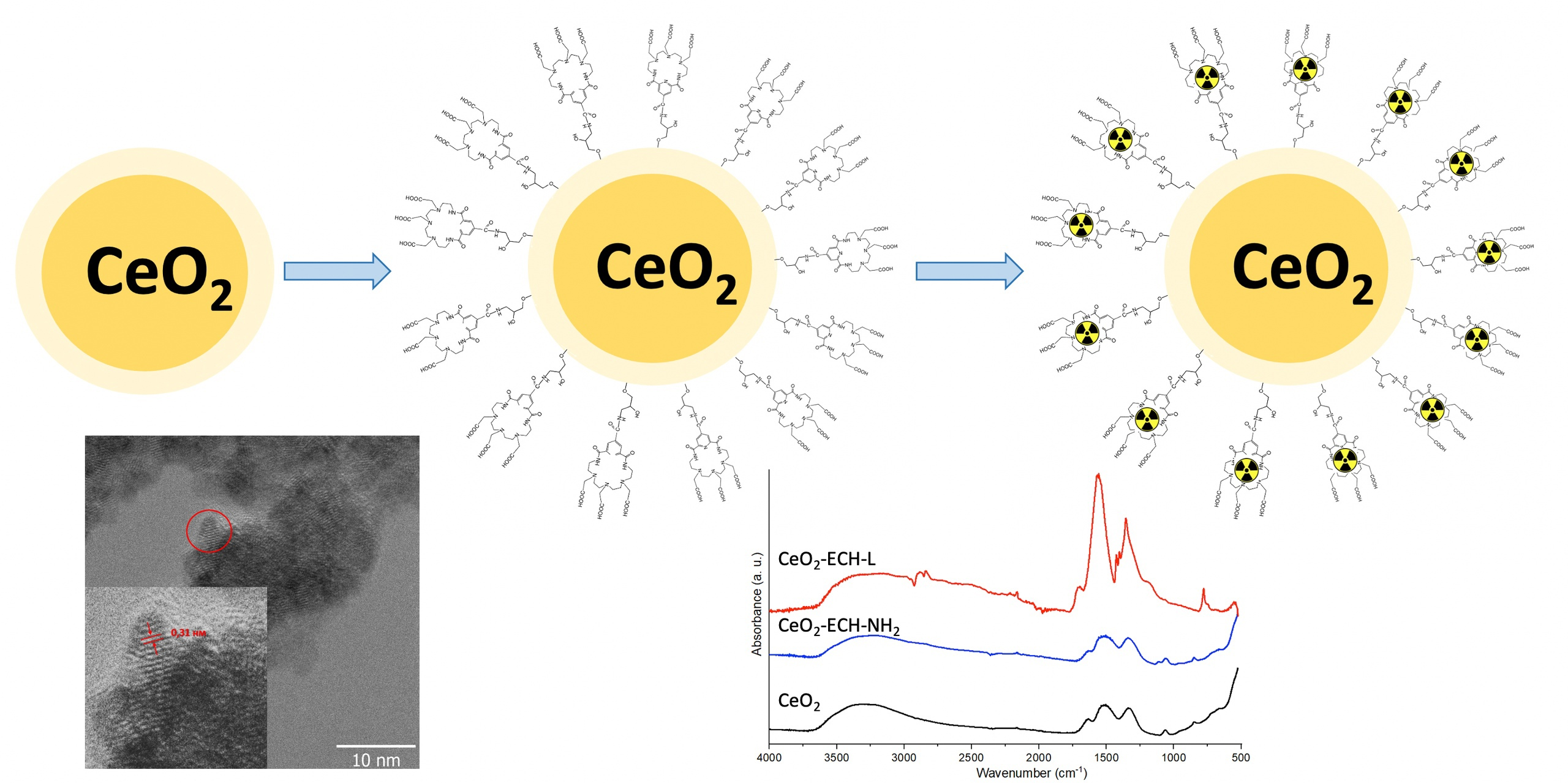Different approaches to synthesising cerium oxide nanoparticles and their  corresponding physical characteristics, and ROS scavenging and  anti-inflammatory capabilities - Journal of Materials Chemistry B (RSC  Publishing)