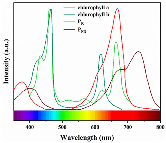 Recent Advances in Light-Conversion Phosphors for Plant Growth and ...