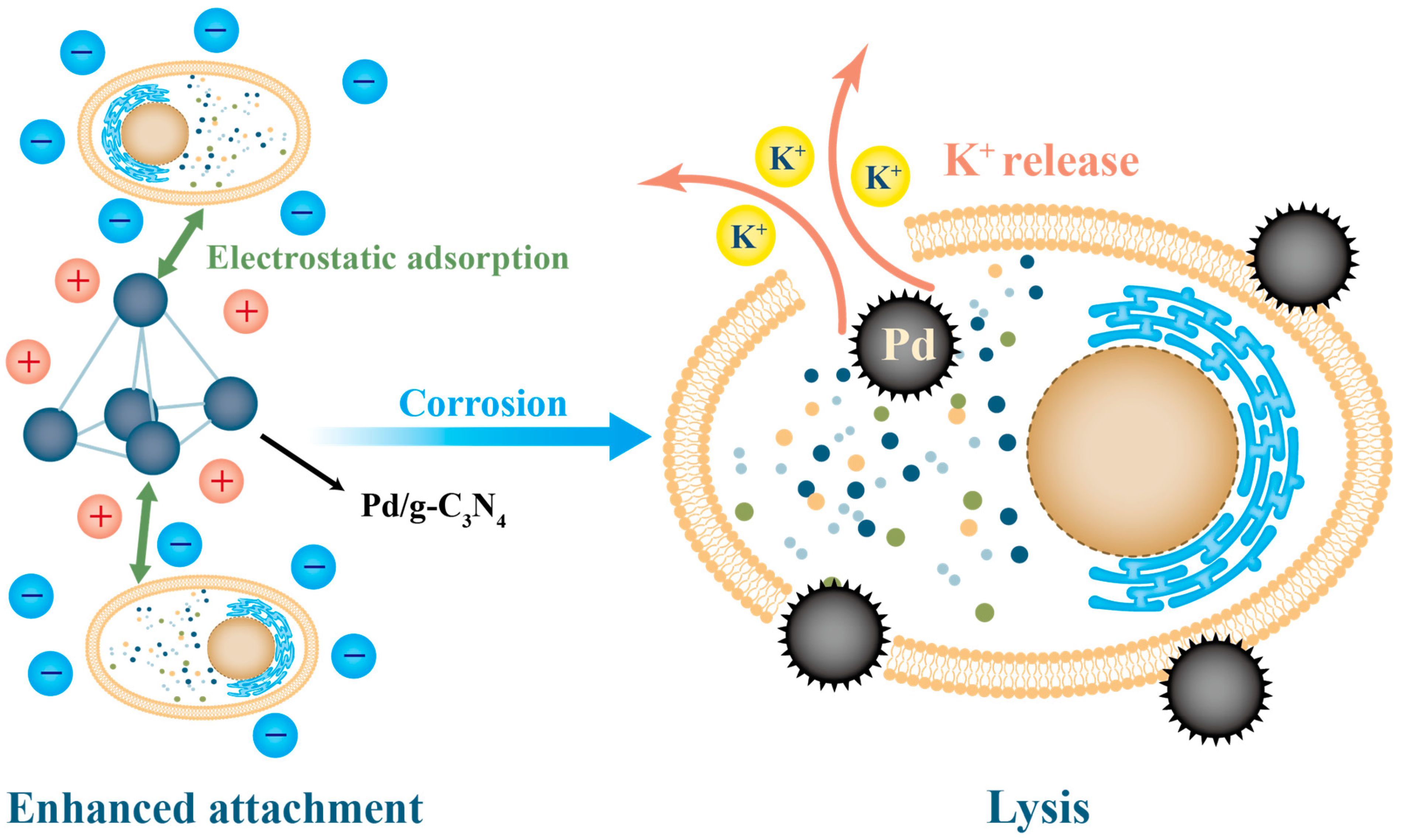 Nanomaterials | Free Full-Text | Nanoparticles, an Emerging 