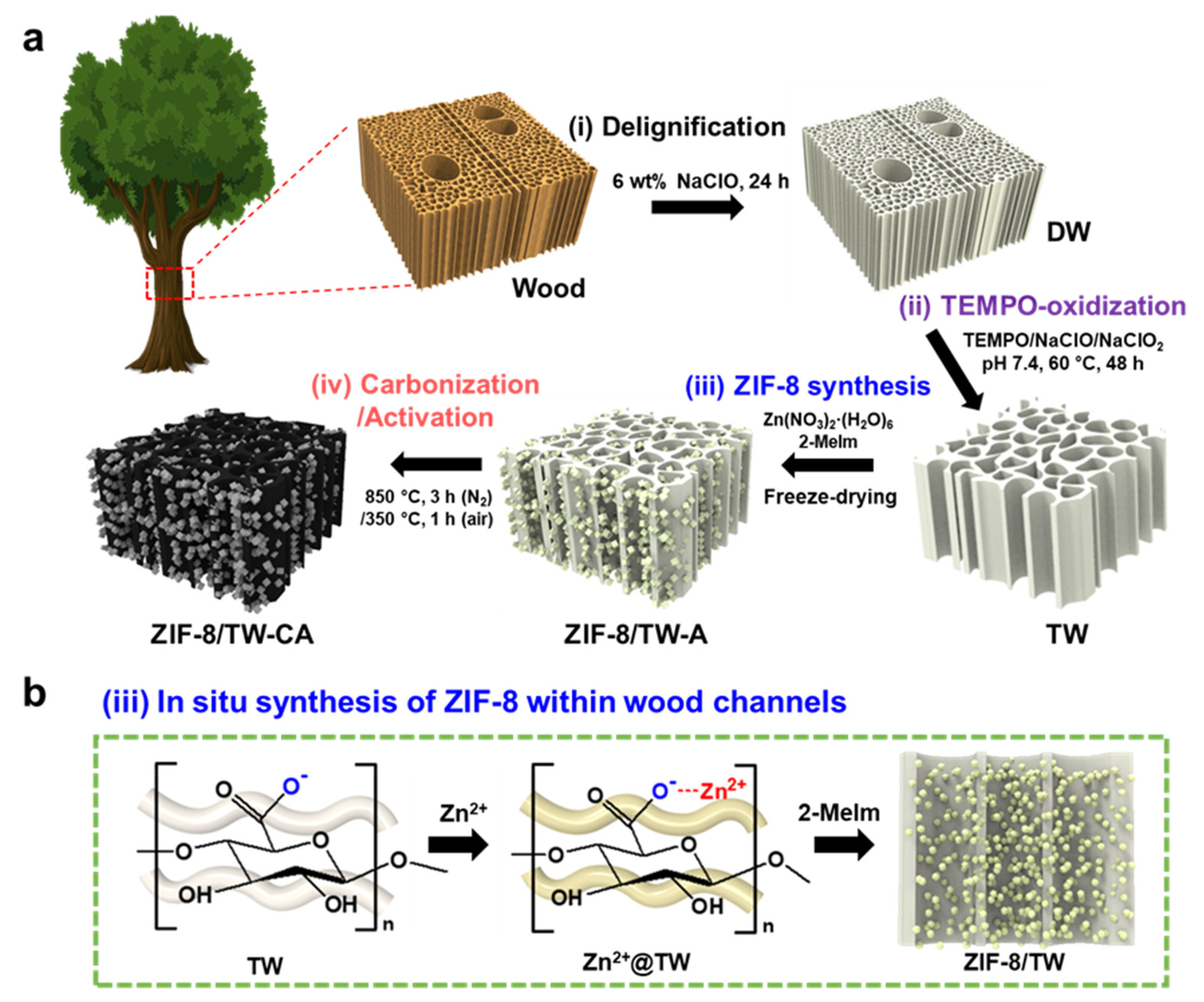 Nanomaterials | Full-Text | Multiscale Porous Carbon Materials by Situ Growth of Framework in the of Delignified Wood for High-Performance Water Purification