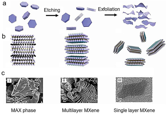 Nanomaterials | Free Full-Text | Recent Advances And Strategies In ...