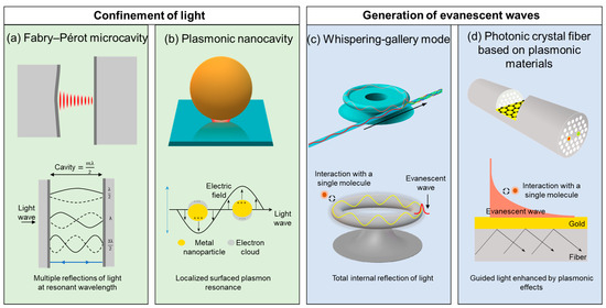 専用ページ(35) Establishment of a Method for the Detection of Indaziflam