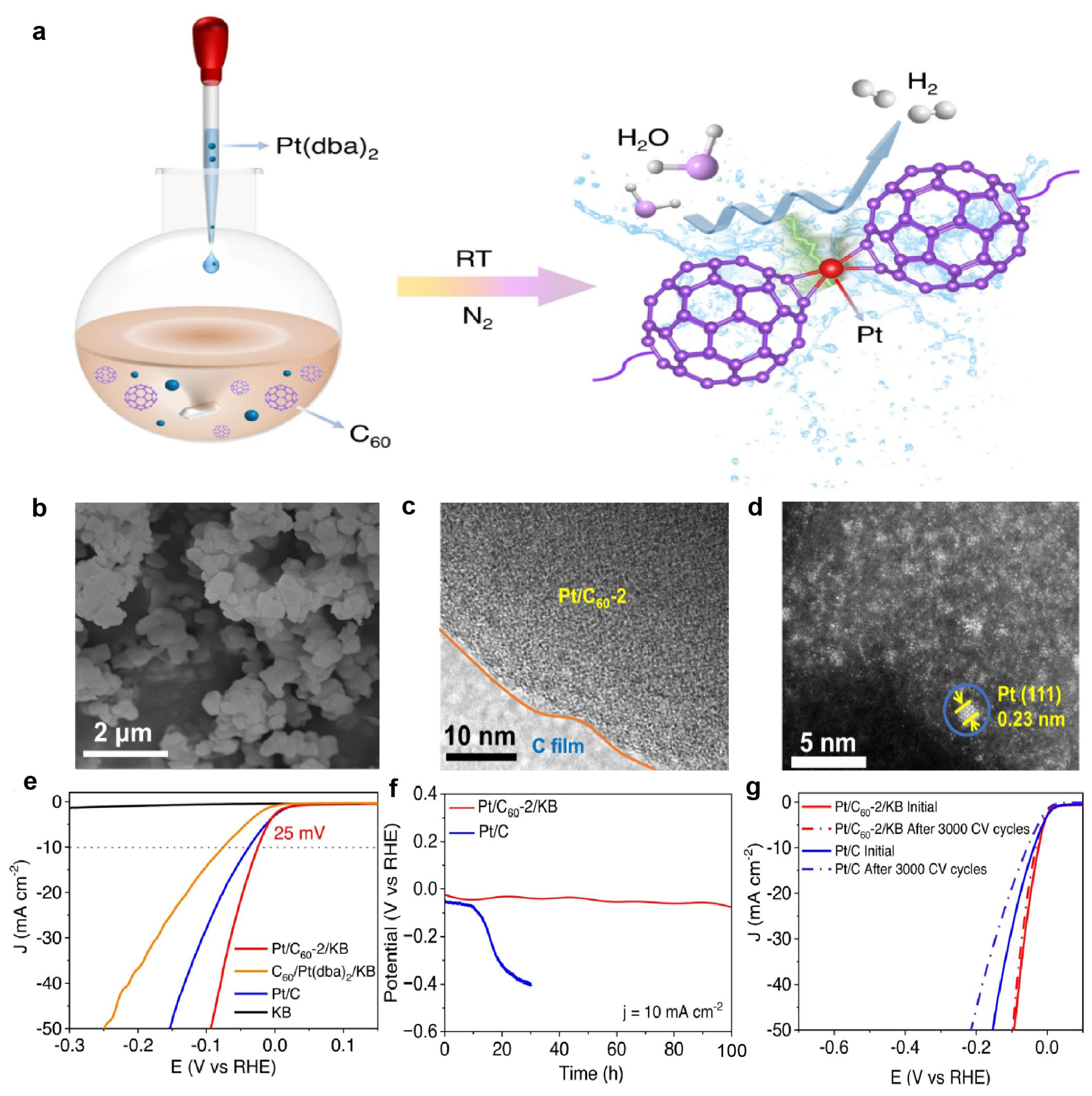 Single-Atom Catalysts for Hydrogen Evolution Reaction: The
