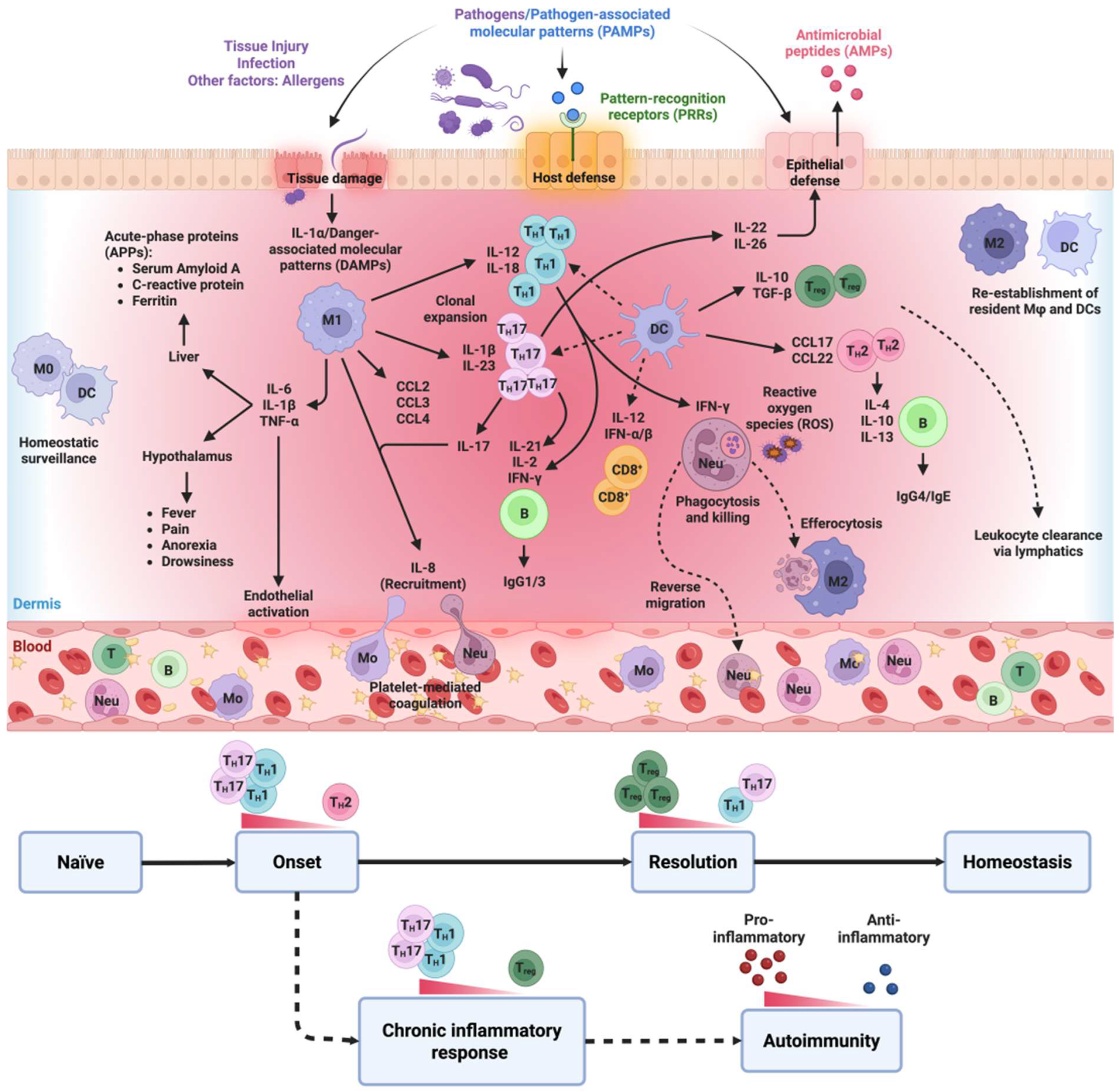 AAA DVD 詰め合わせ Immunomodulatory Effects of Gold Nanoparticles: Impacts on