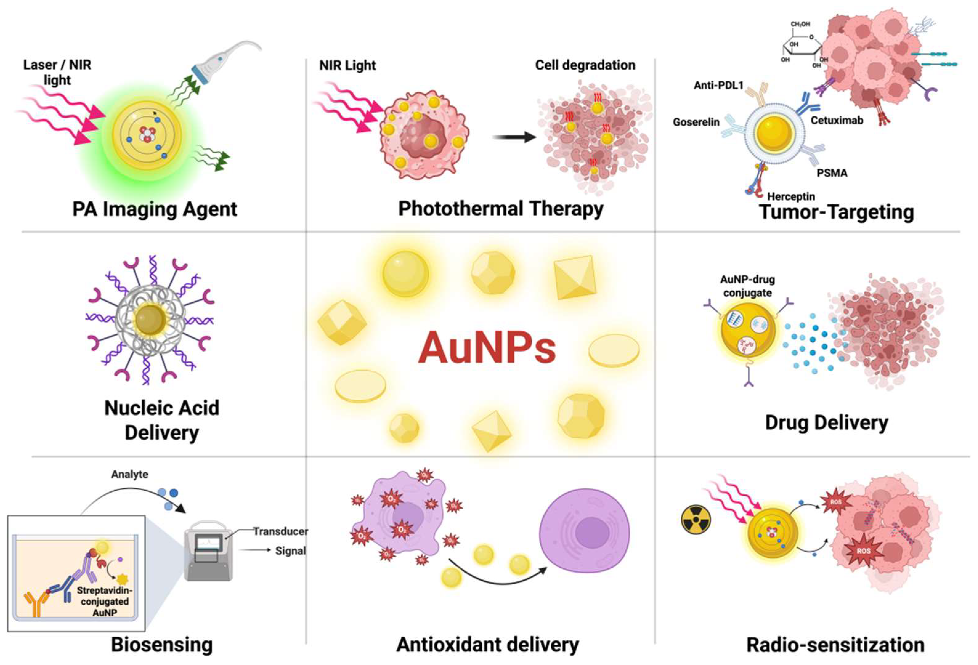 saaaaa Immunomodulatory Effects of Gold Nanoparticles: Impacts on