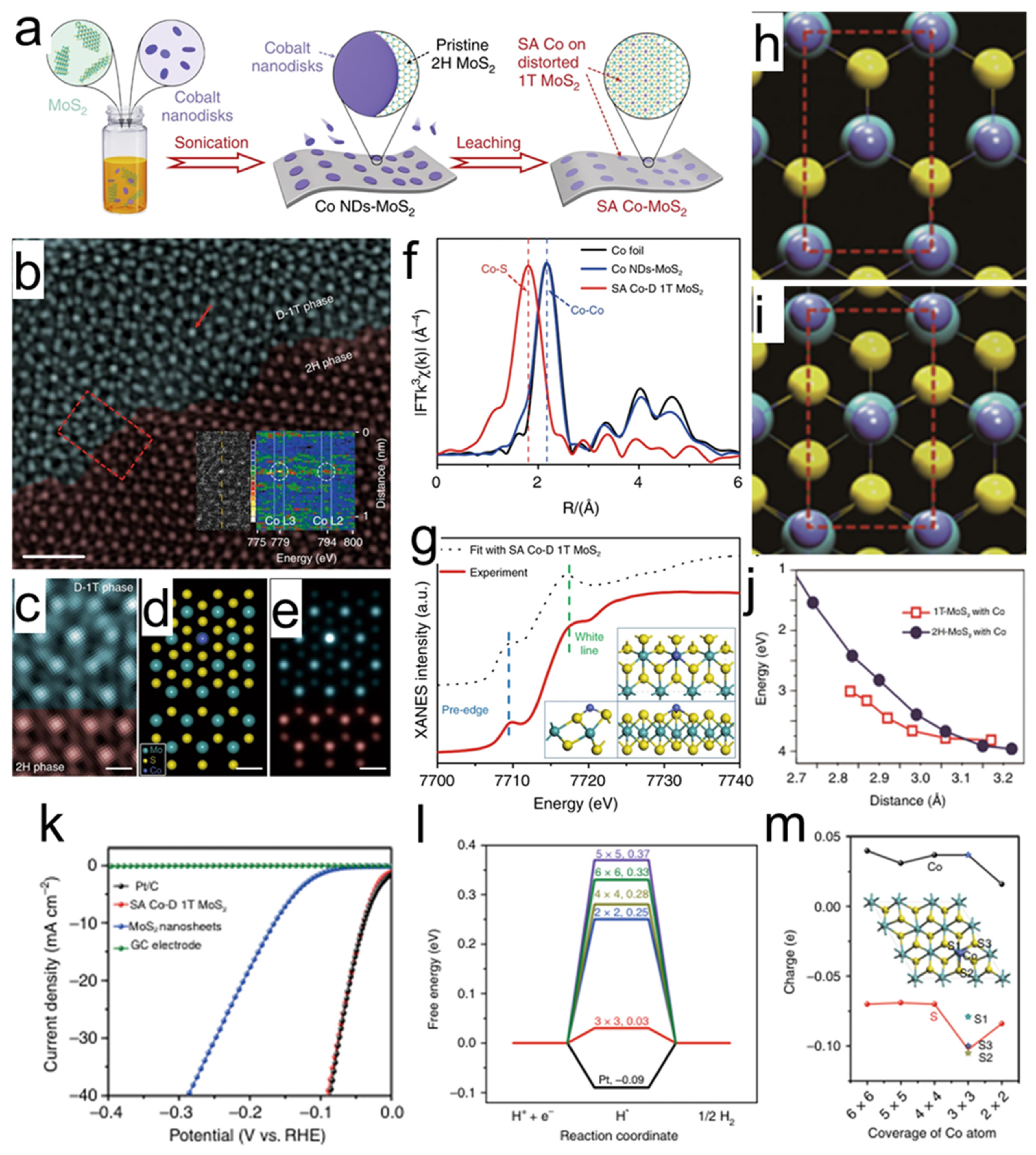 Recent Advances in the Electrocatalytic Performance of Nanoporous ...