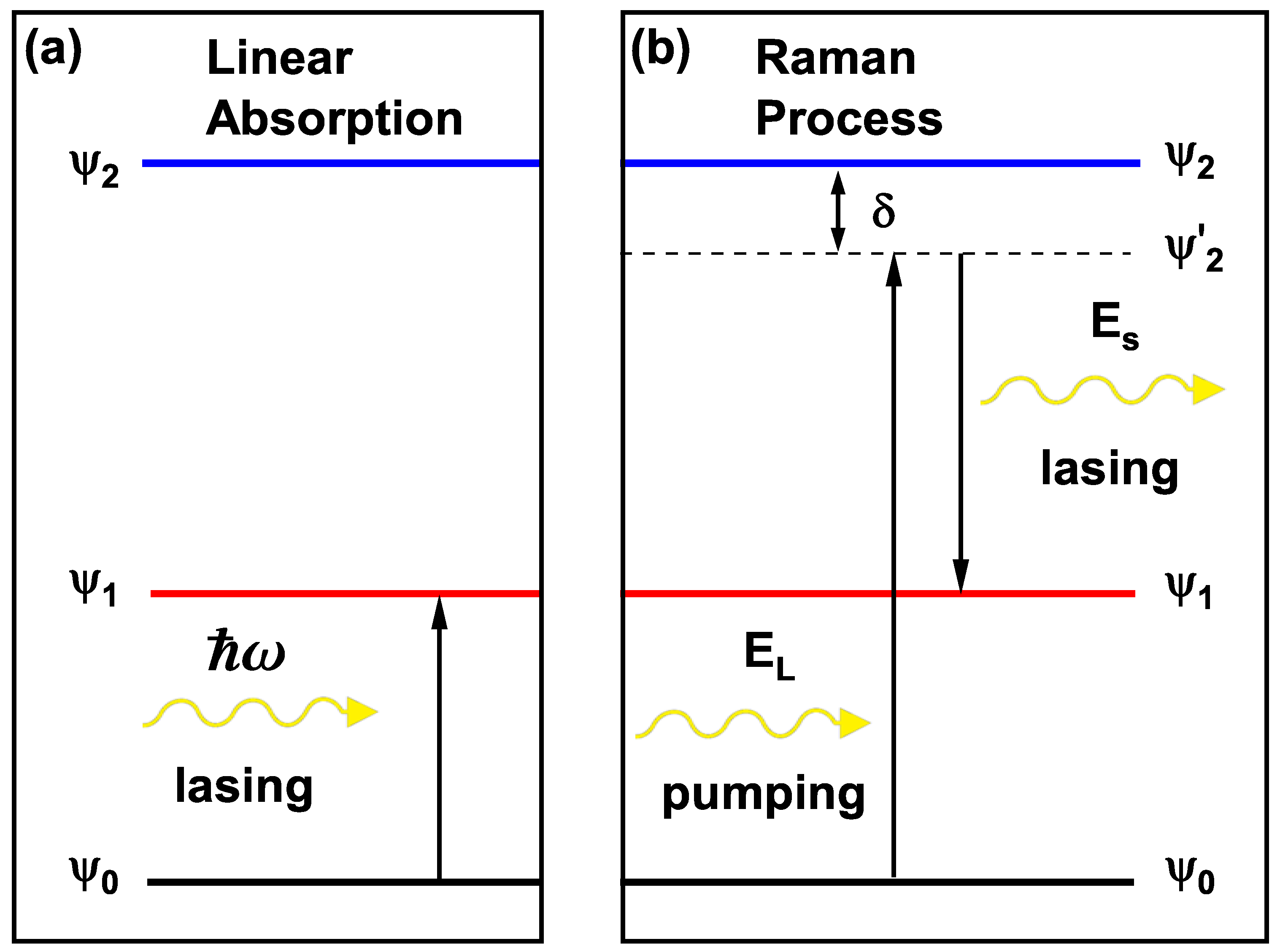 Optical Absorption and Raman Scattering in ZnO/MgxZn1−xO Quantum Wells ...