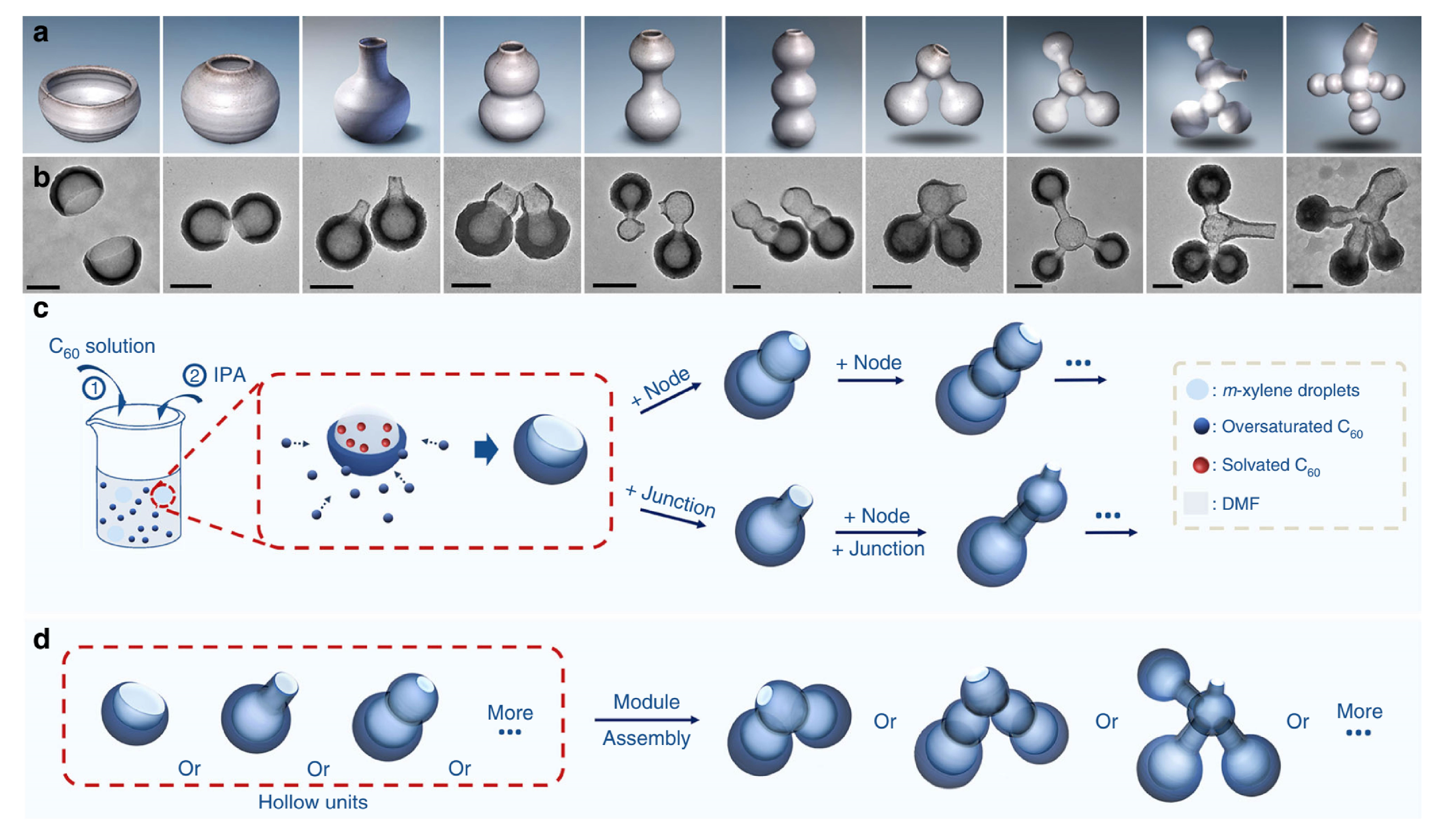 Rational Design of Hollow Nanostructures: Engineering the Cavity ...