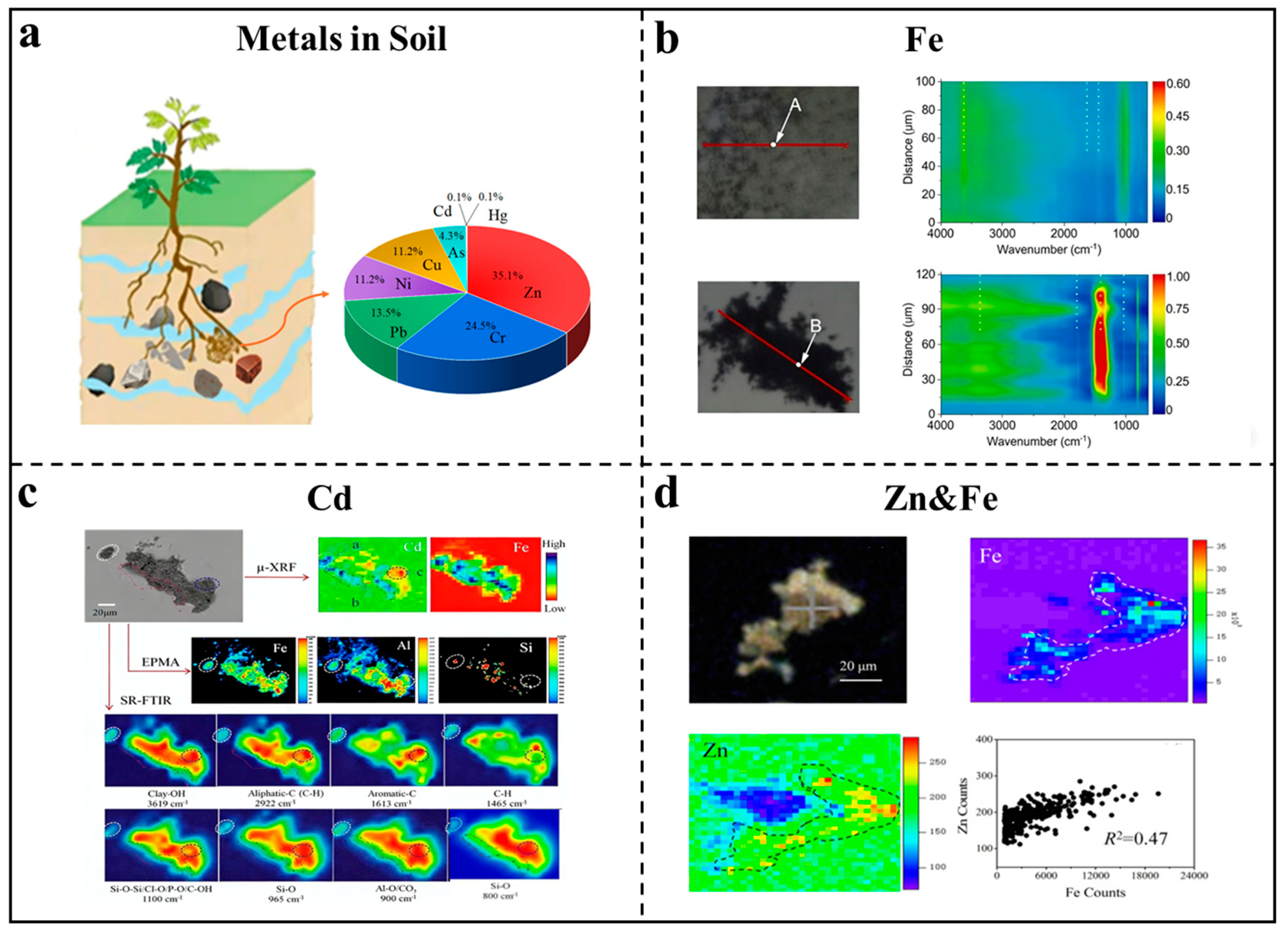 Neutron Radiography Soil Synchrotron X-Ray Imaging and Spectroscopy in Soil Improvement and ...