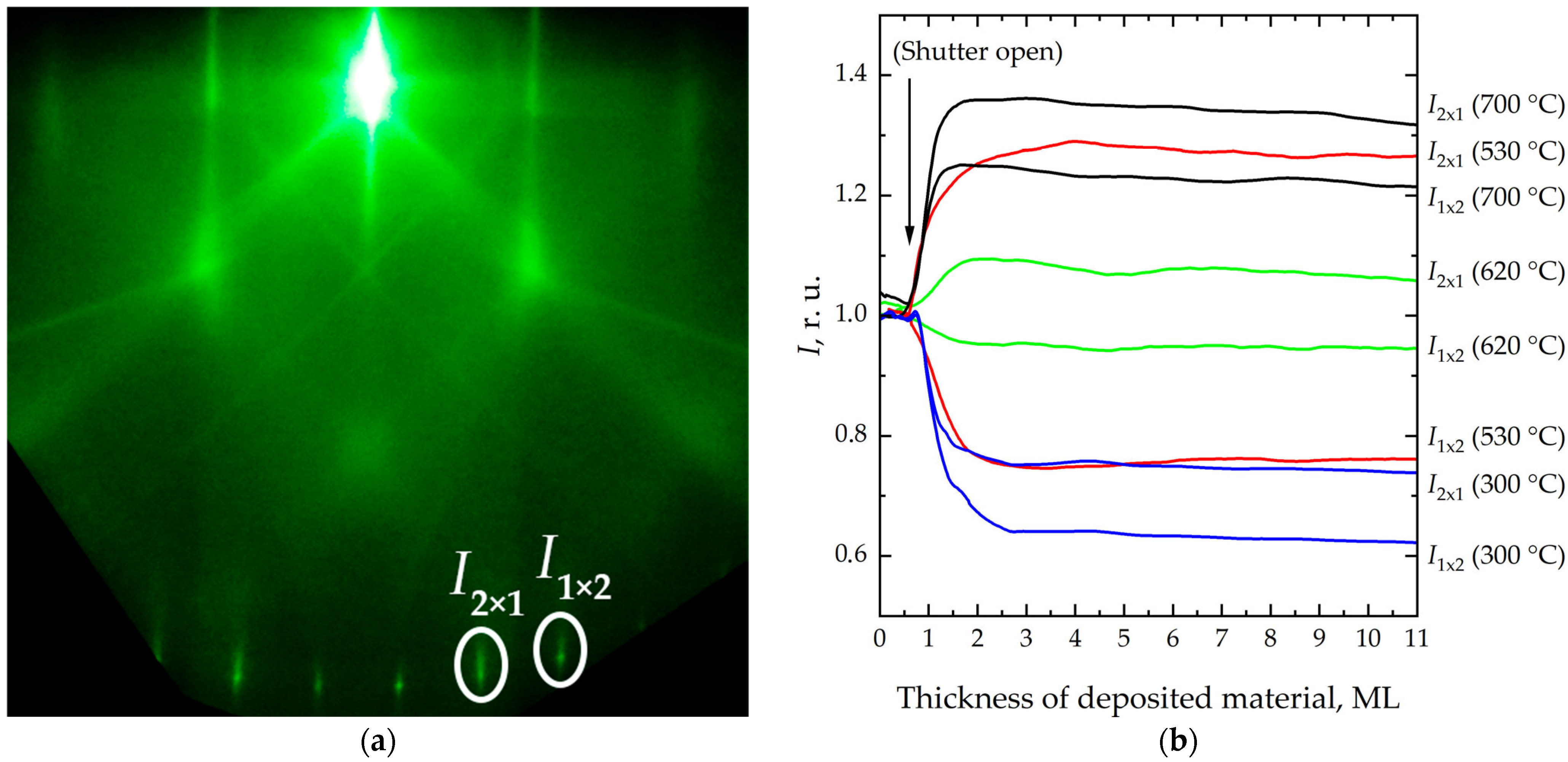 Initial and Middle Stages of Quantum Dots Growth: From Dynamics of ...