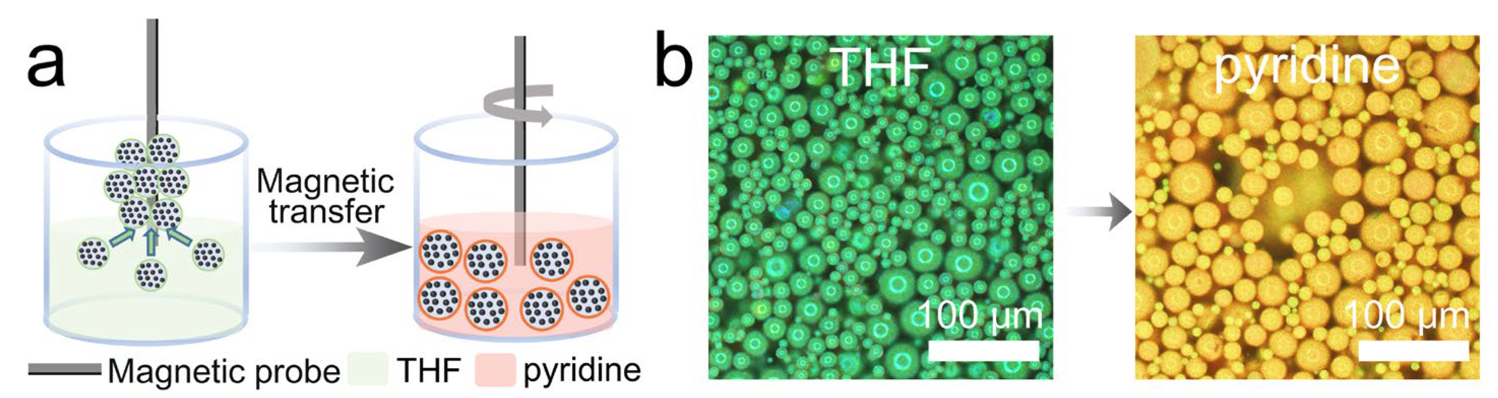 Non-Close-Packed Isotropic Responsive Magnetic Photonic Crystal ...