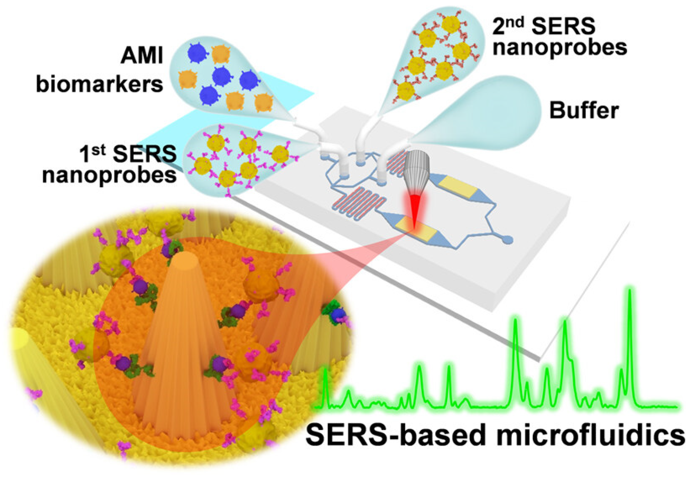 AI-Assisted Surface-Enhanced Raman Spectroscopy for Cardiovascular ...