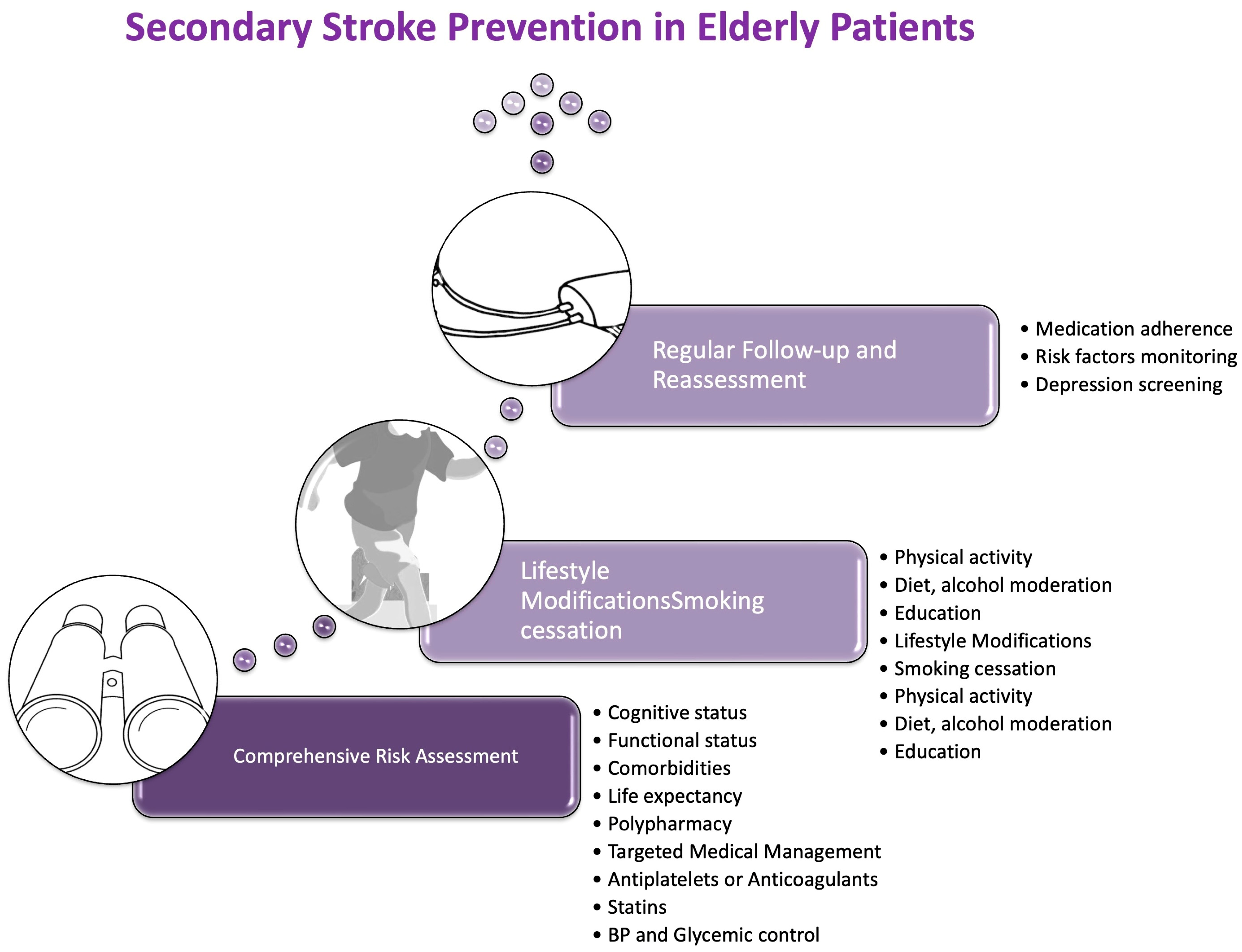 primary-and-secondary-prevention-of-ischemic-stroke-in-elderly-patients